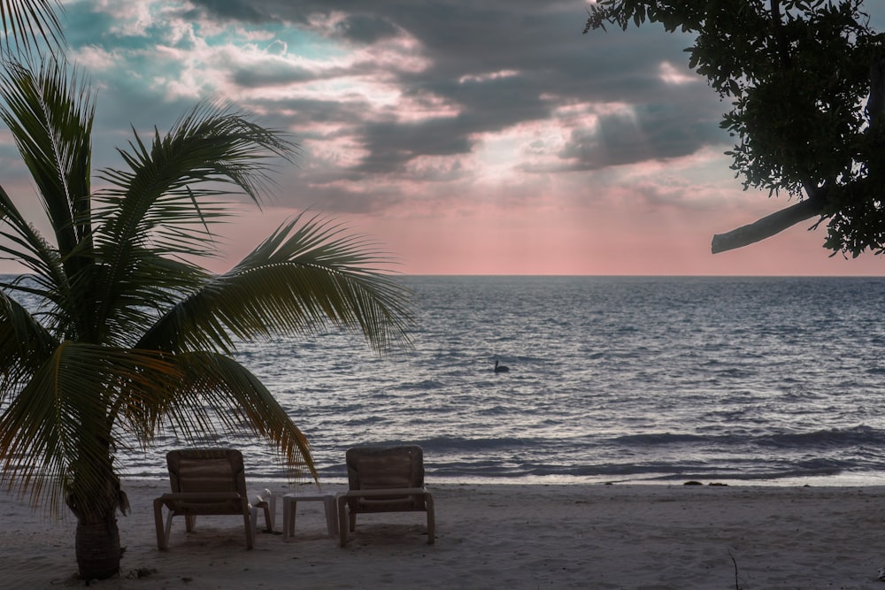 a couple of chairs sitting on top of a sandy beach