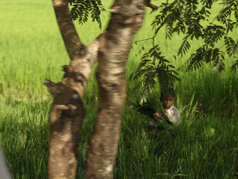 a boy is sitting in the grass reading a book