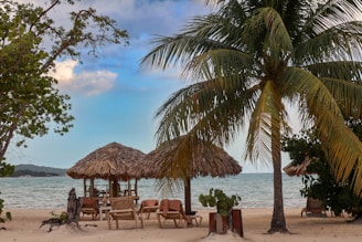 a beach with a hut and chairs under a palm tree