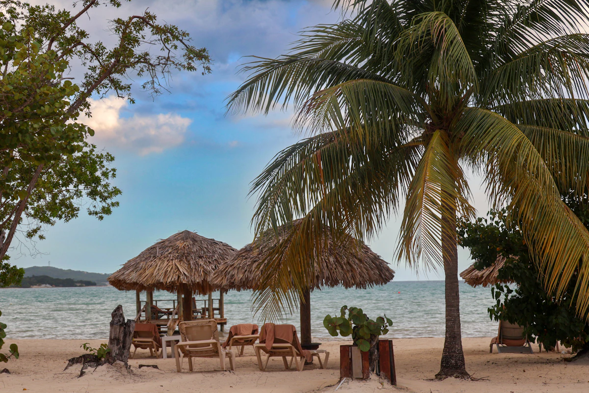 Palm-fringed Caribbean beach with turquoise water in front of a resort