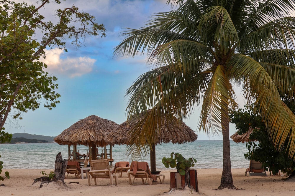 a beach with a hut and chairs under a palm tree