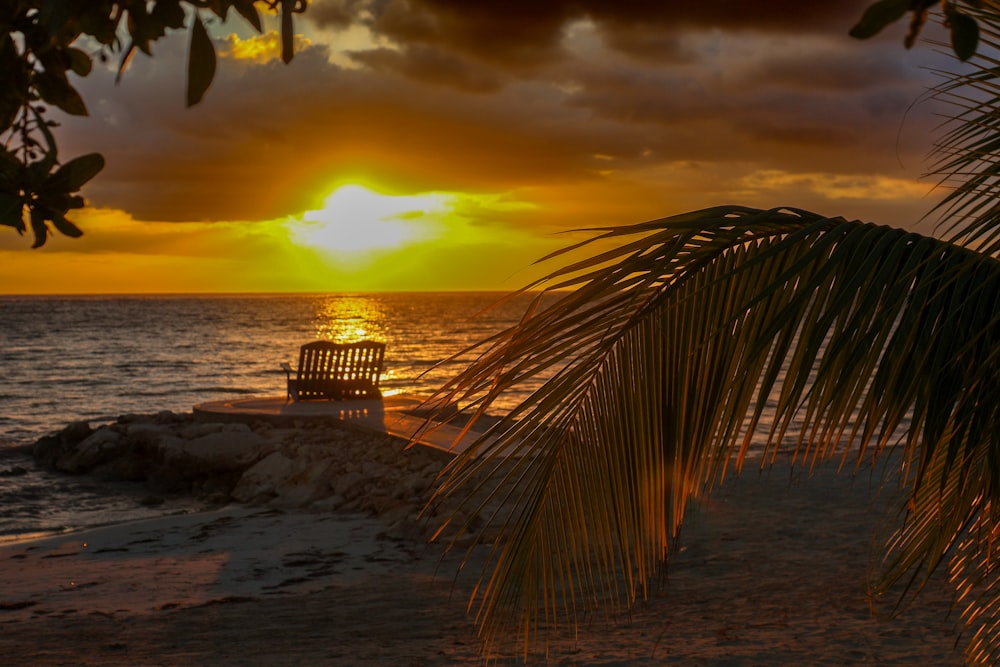 a bench sitting on top of a sandy beach under a palm tree