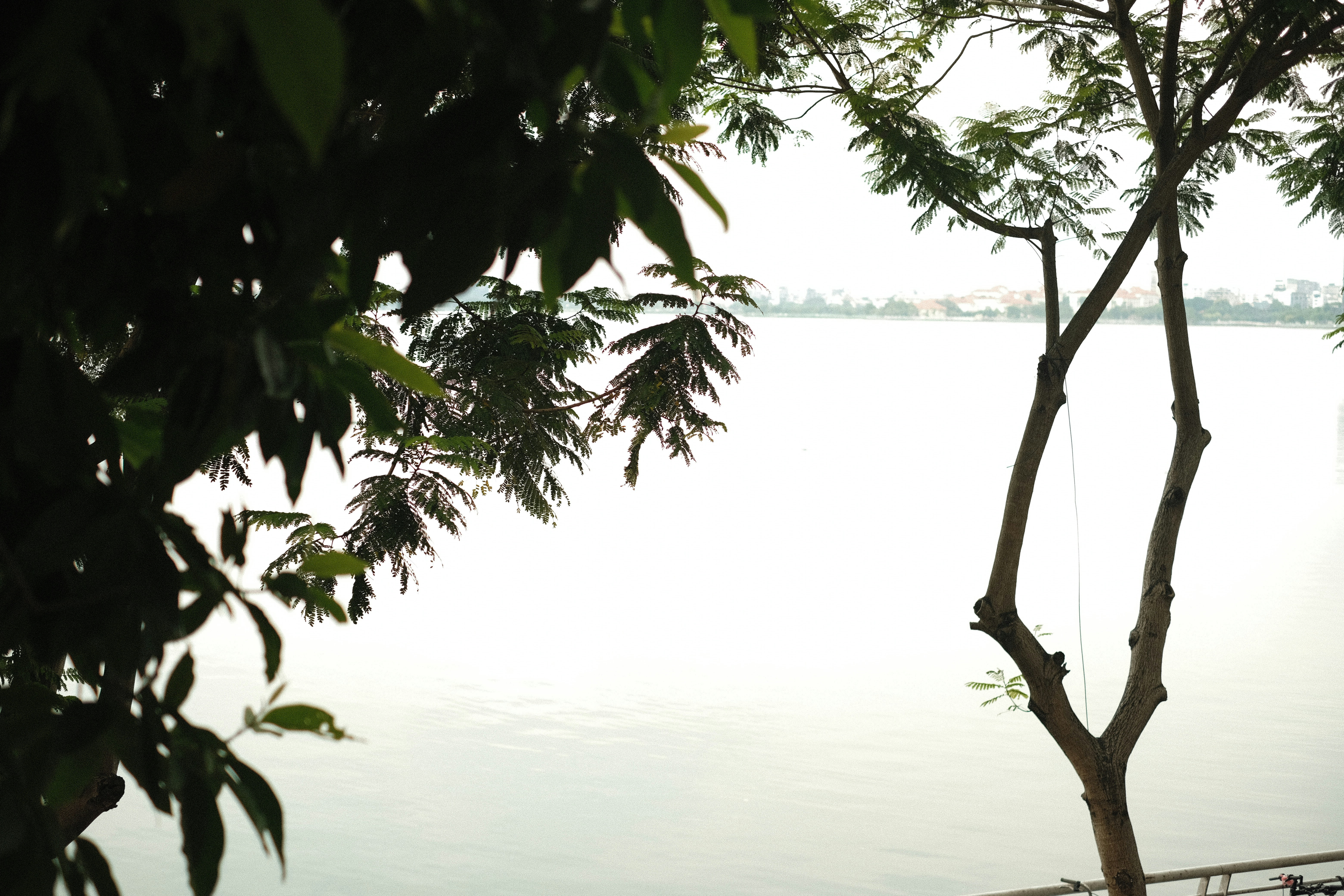 Photo by donguyenkhanhs