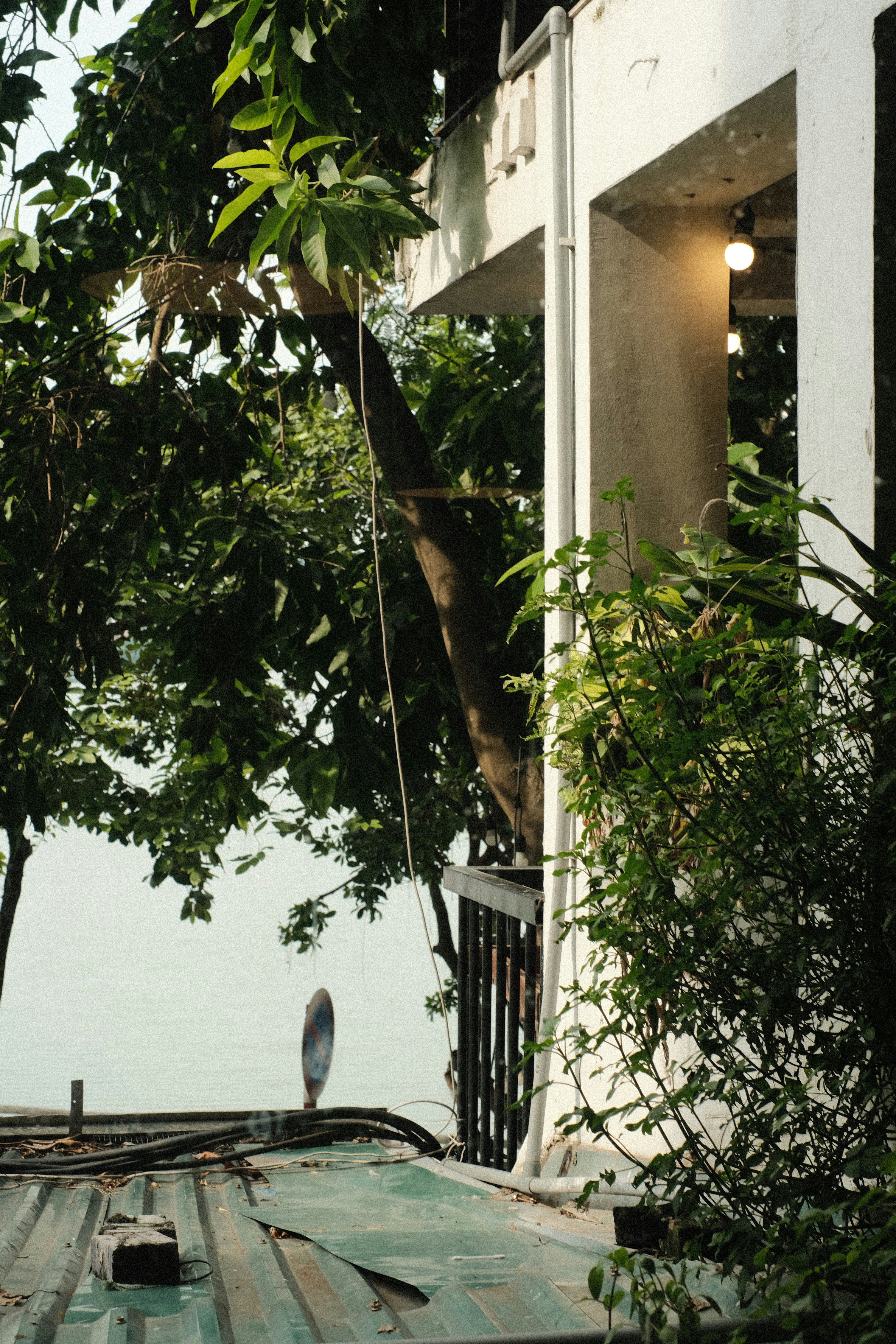 Photo by donguyenkhanhs