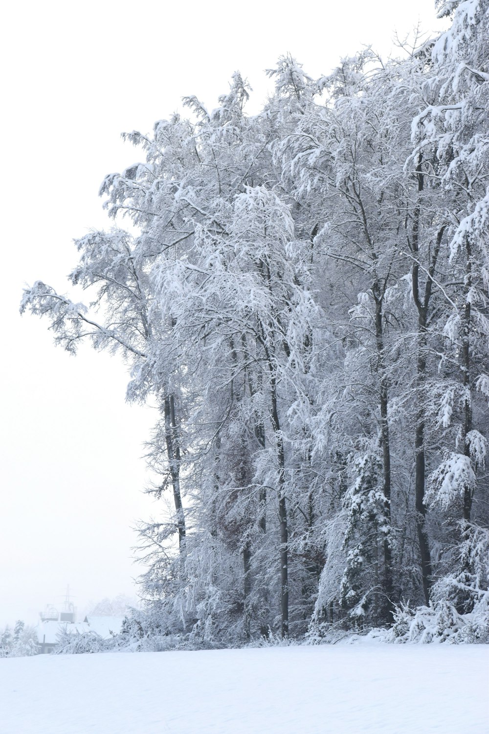 una persona montando esquís en una superficie nevada