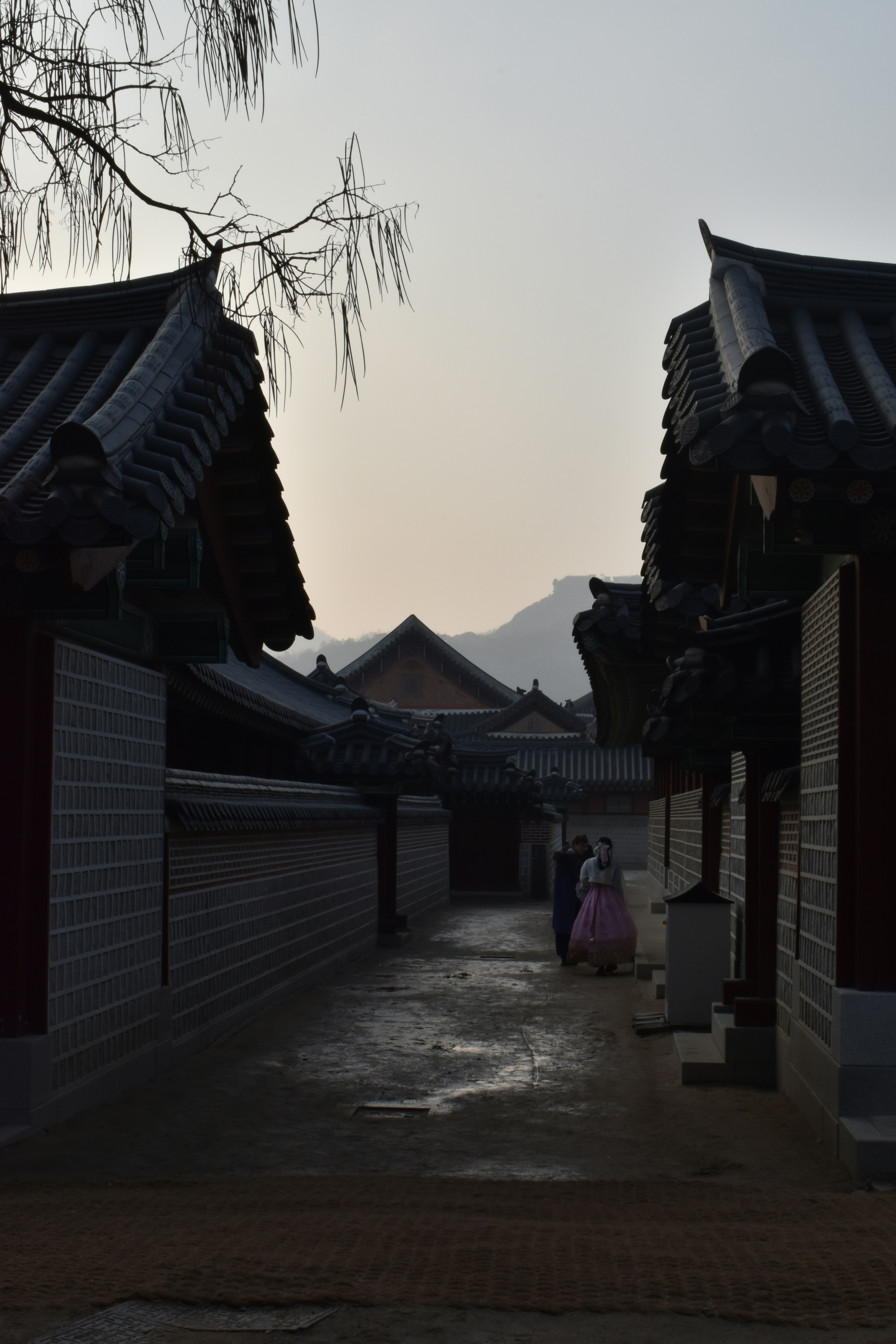 Healthcare, Banking, and Essential Services Access