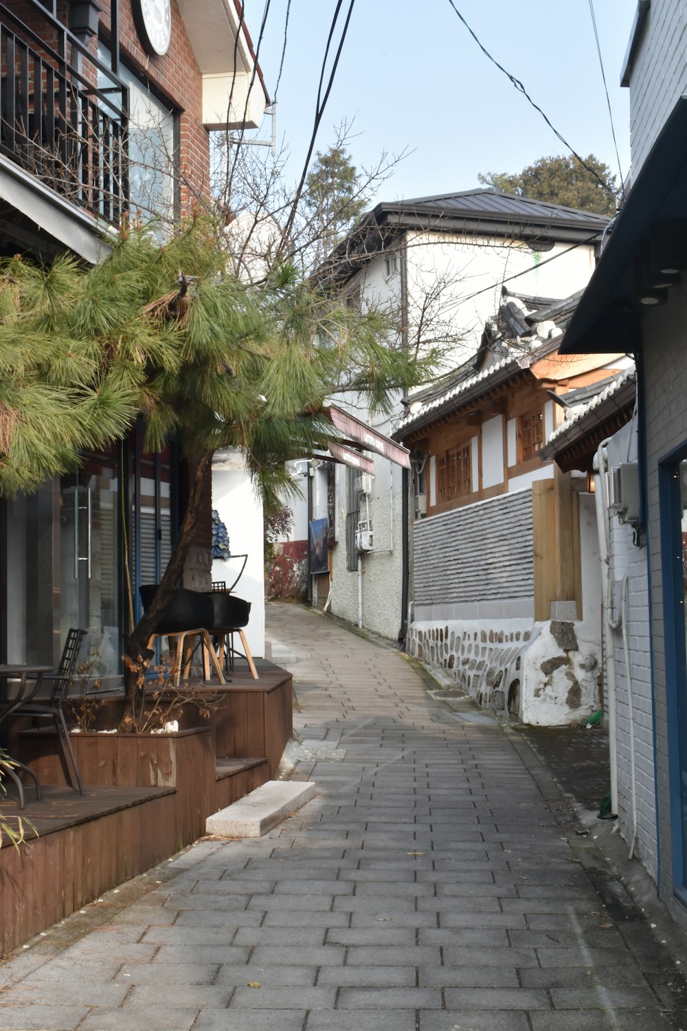 a narrow street with a tree in the middle of it
