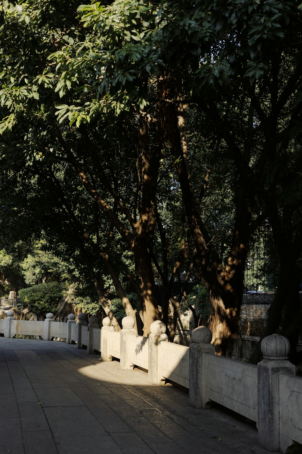 a row of stone benches sitting next to a tree