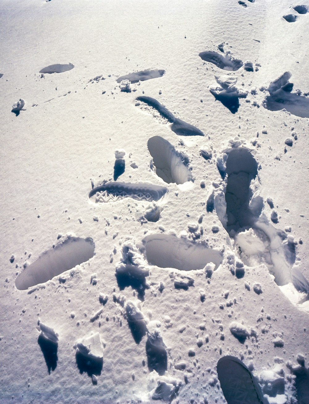 footprints in the snow on a sunny day