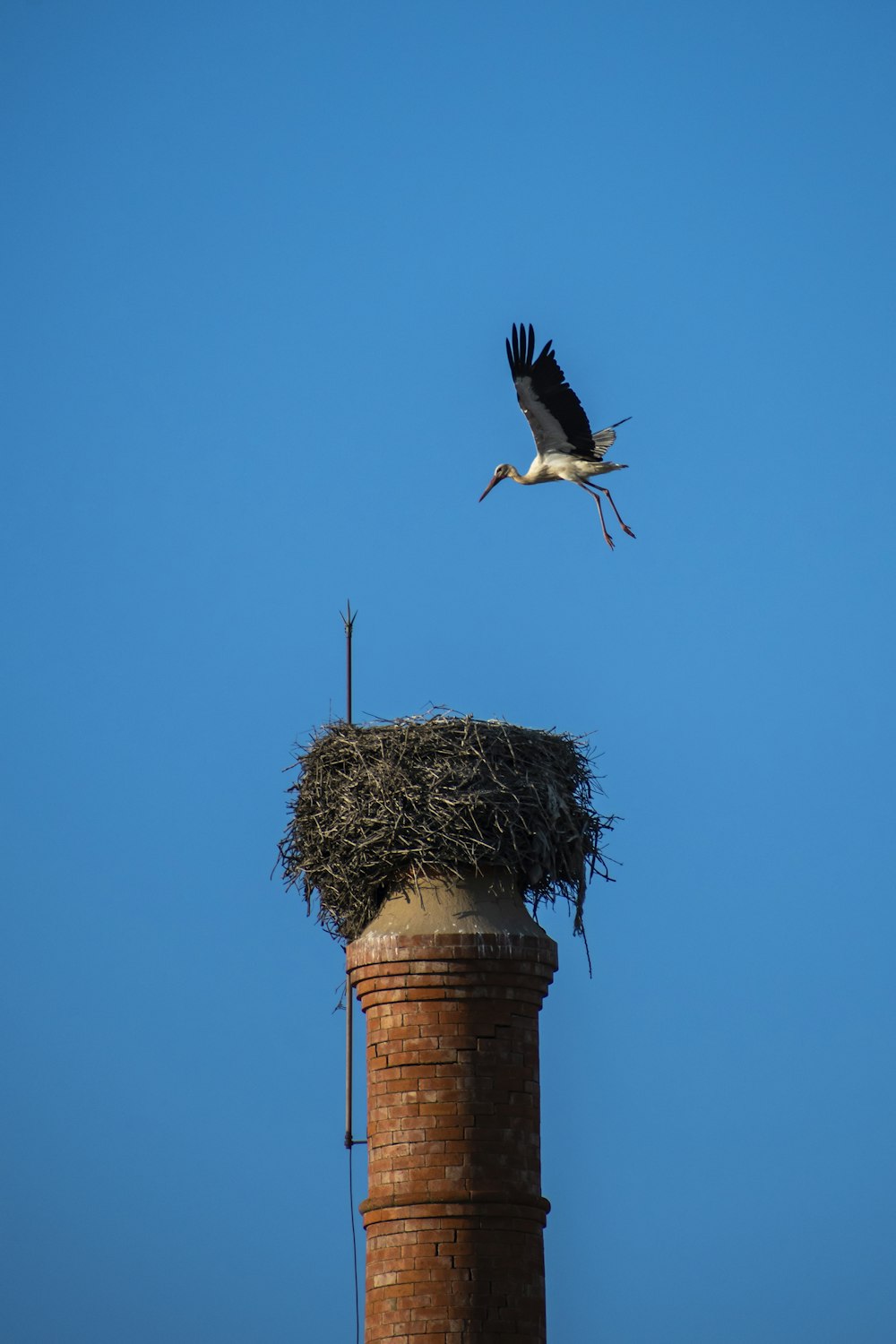 a stork flying over a nest on top of a chimney