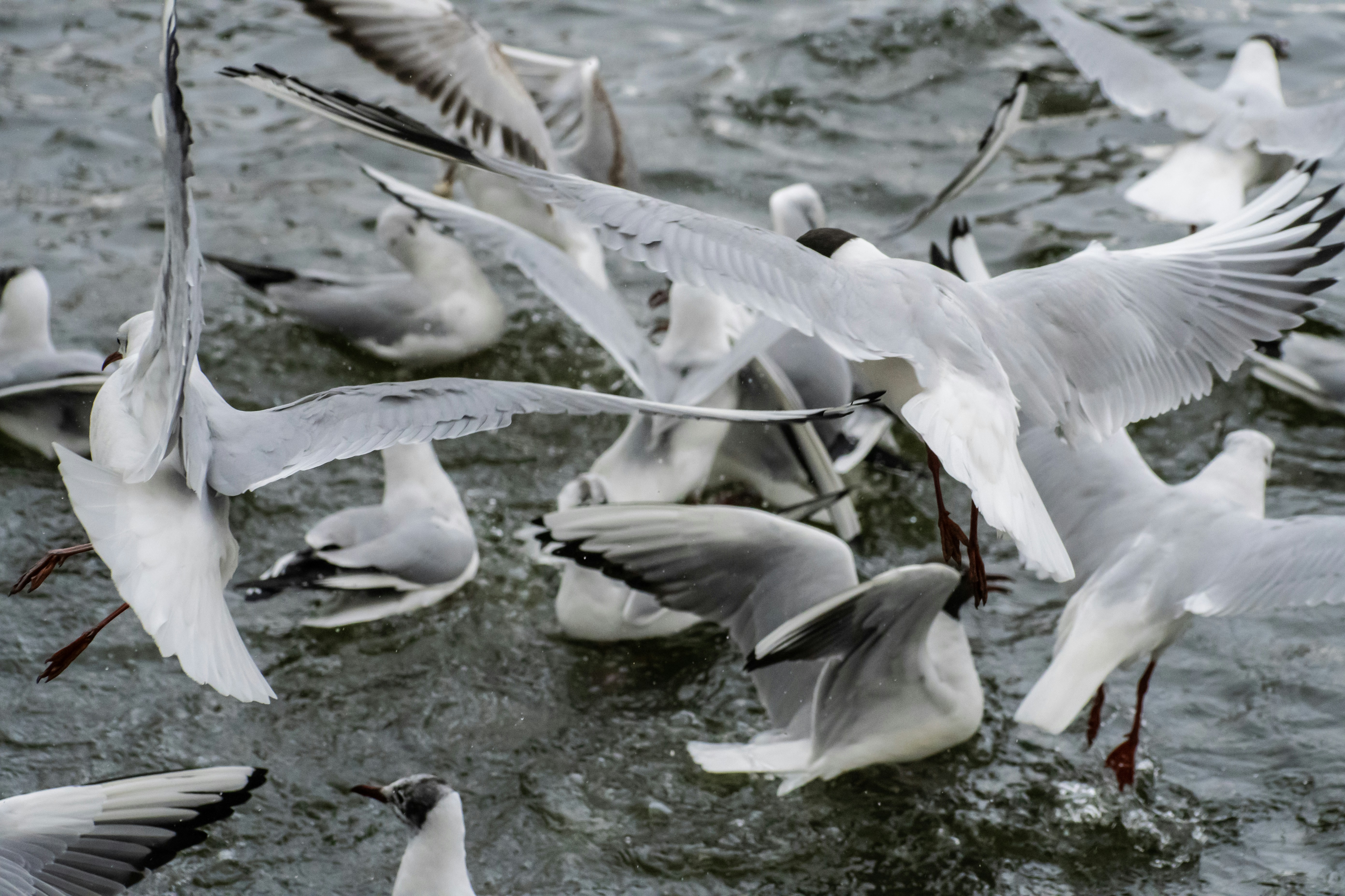 Photo by carlosmreis