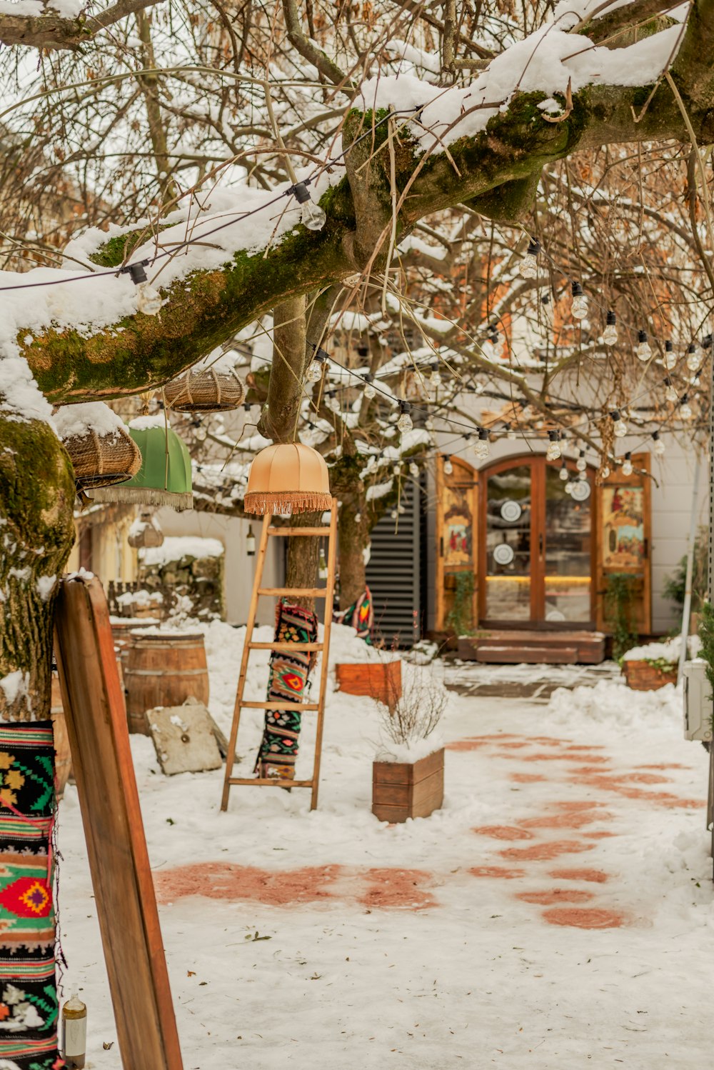 a snow covered yard with a ladder and a tree