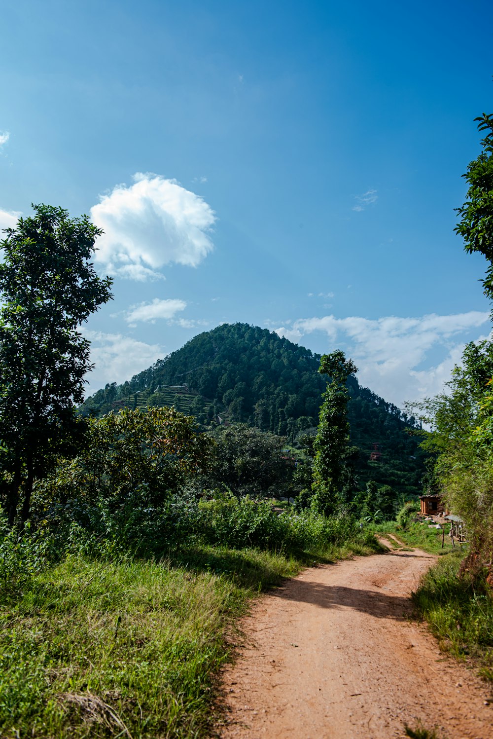 a dirt road with a mountain in the background