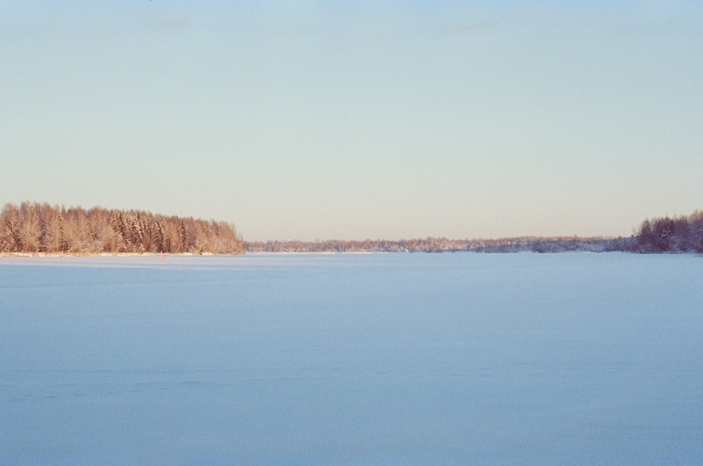 a large body of water surrounded by trees