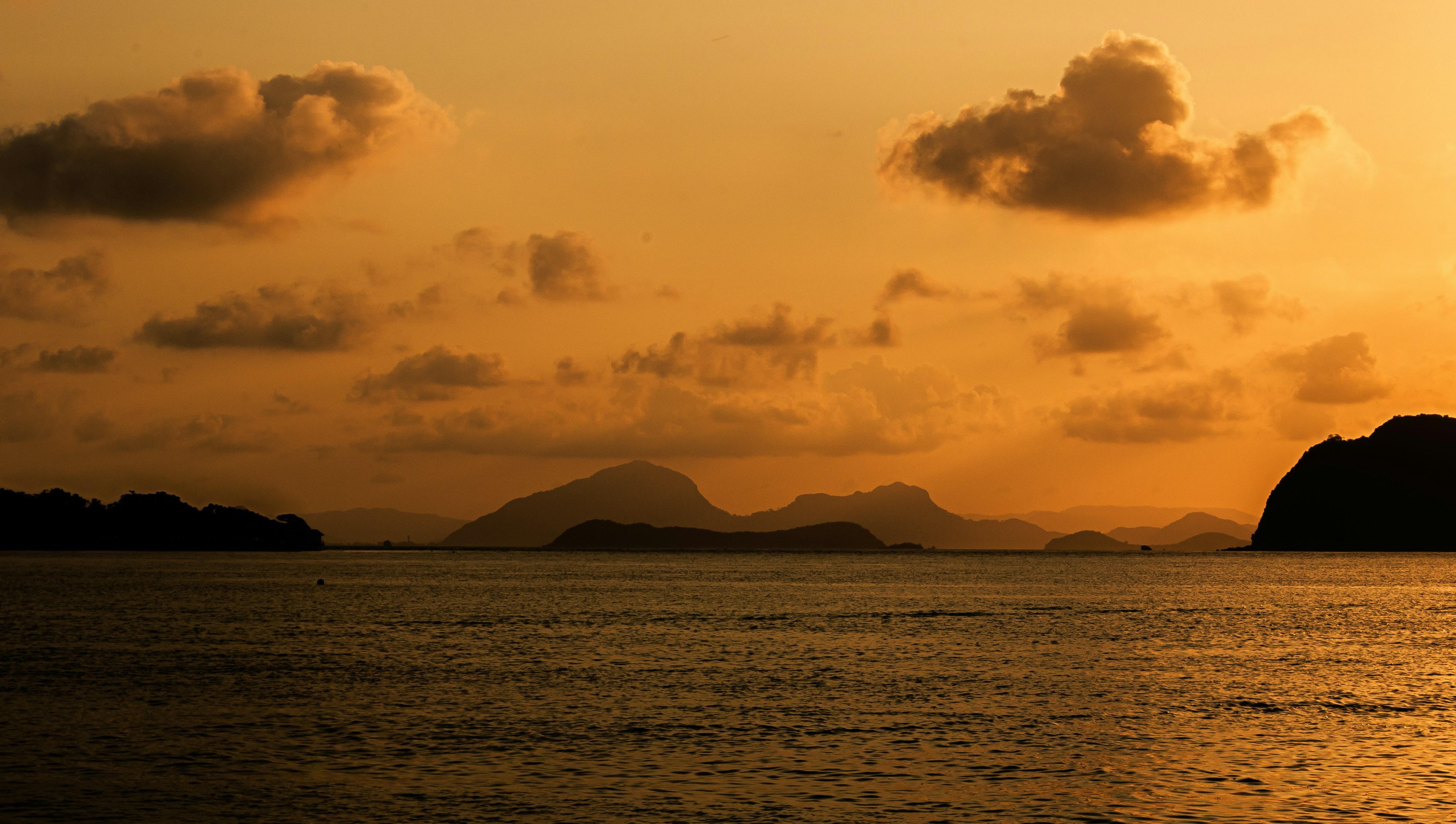 Photo by starkie_pics