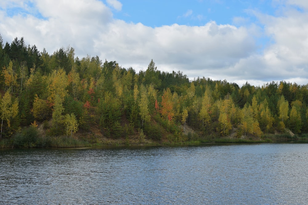 a large body of water surrounded by trees