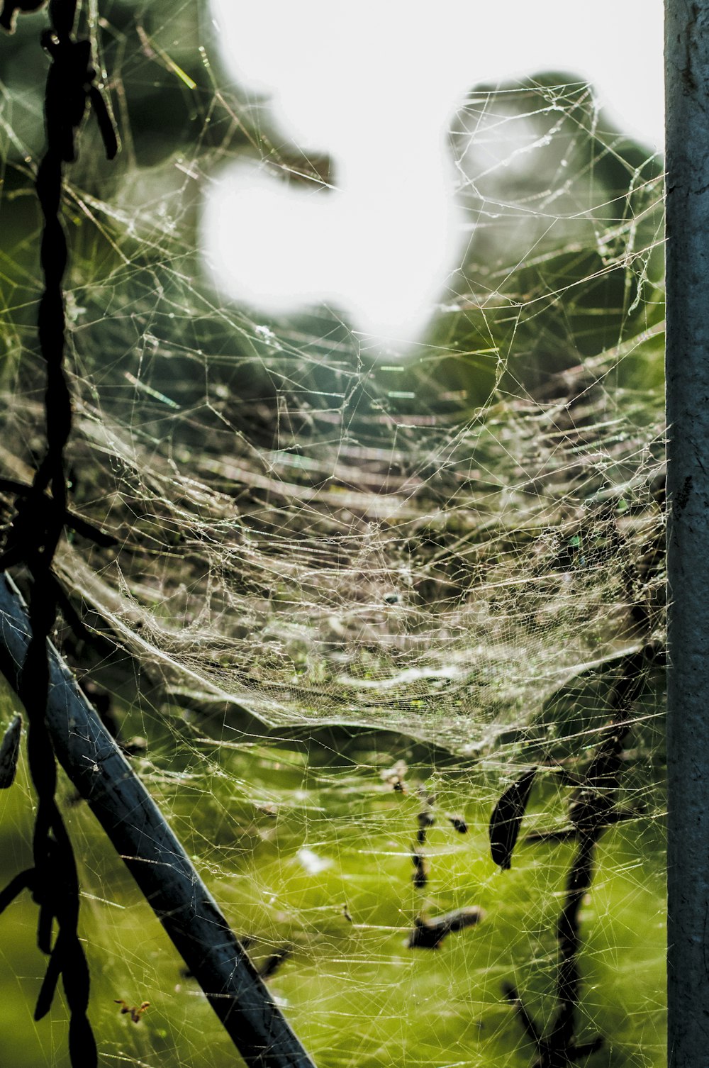 a spider web hanging from a metal pole