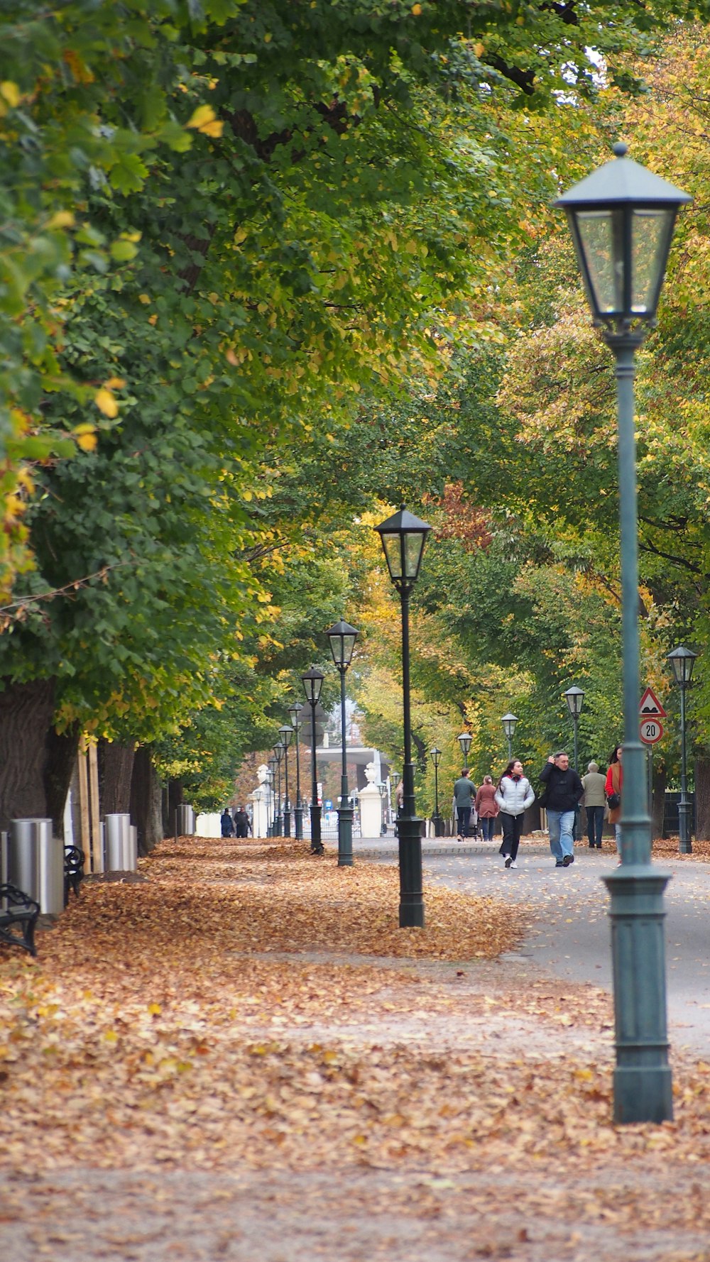 a couple of people walking down a leaf covered street