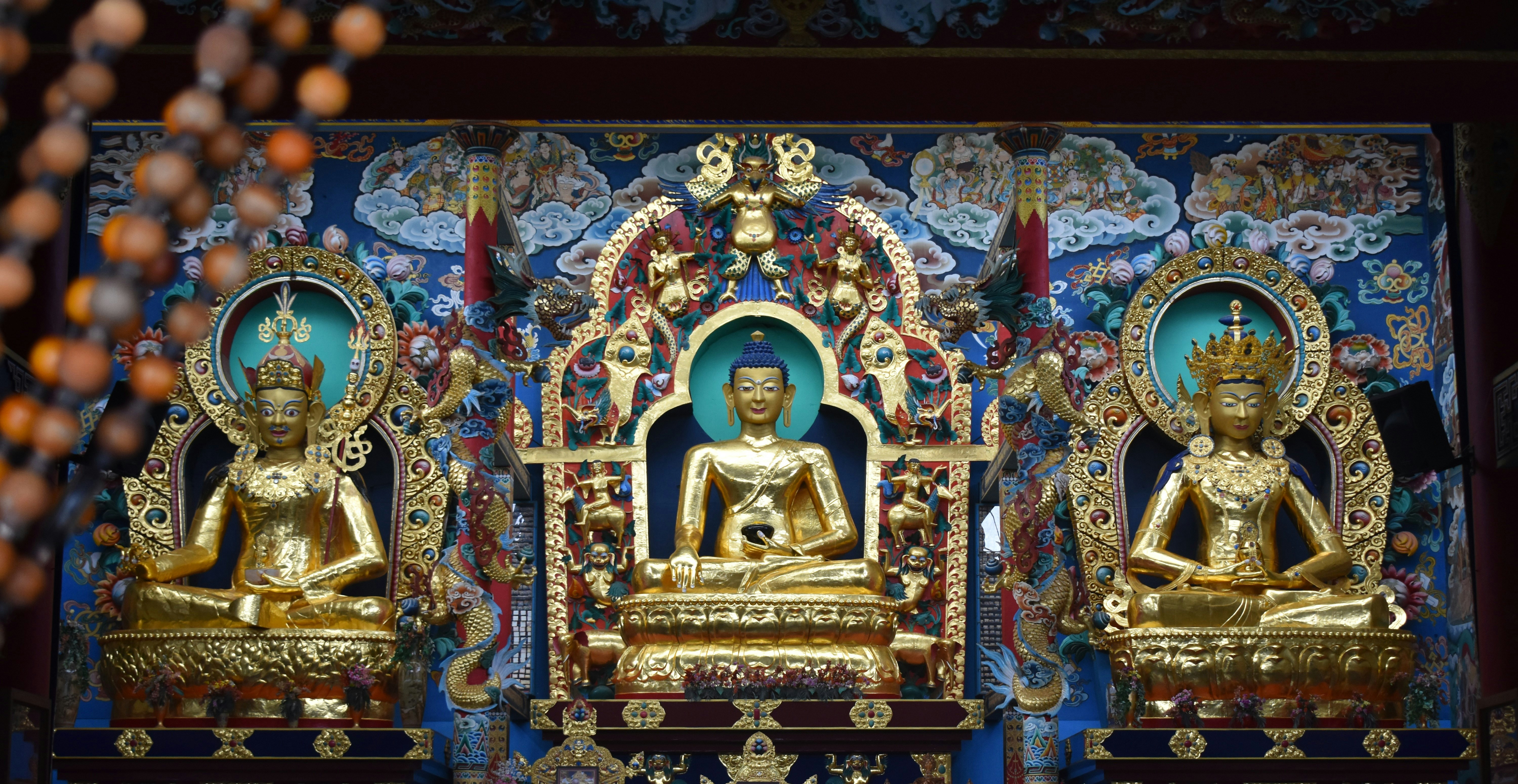 Photo by avinaash_ponnada