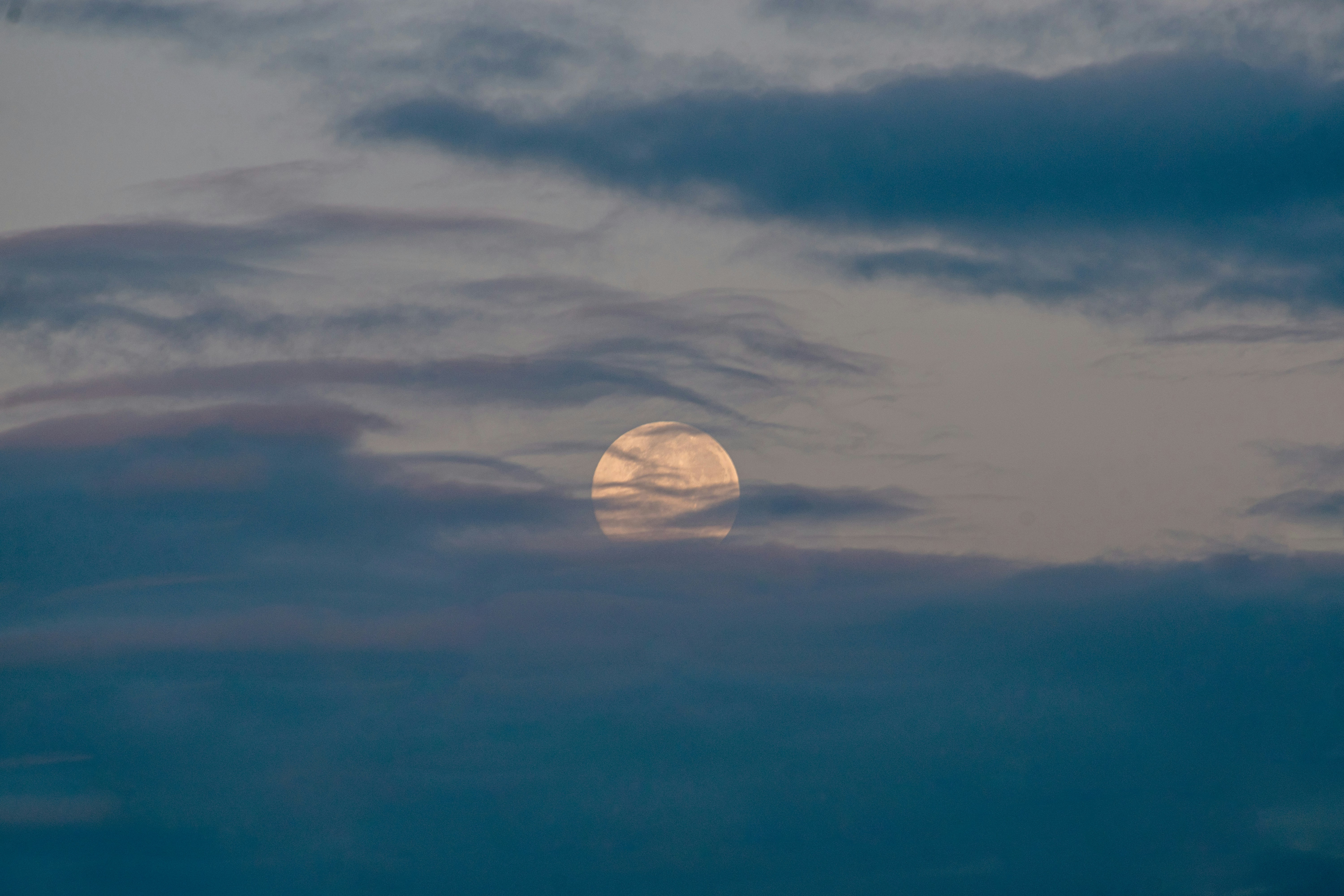 Photo by sebaslaverde_nkn