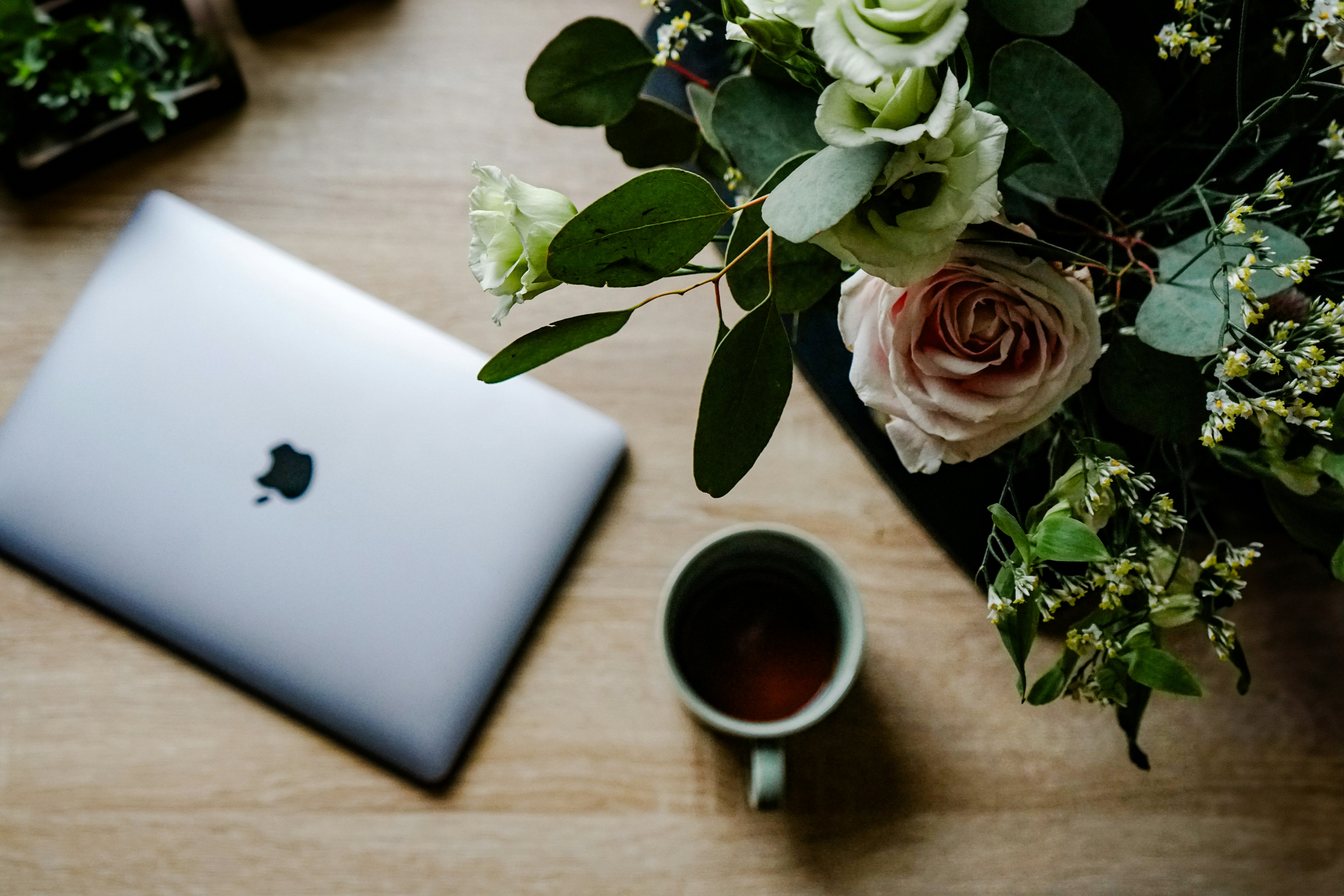 בלוג ומאמרים