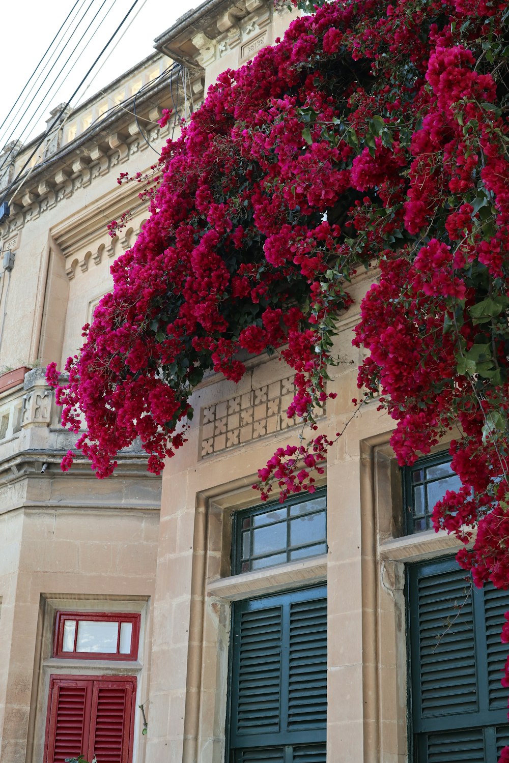 a building with a bunch of red flowers on it