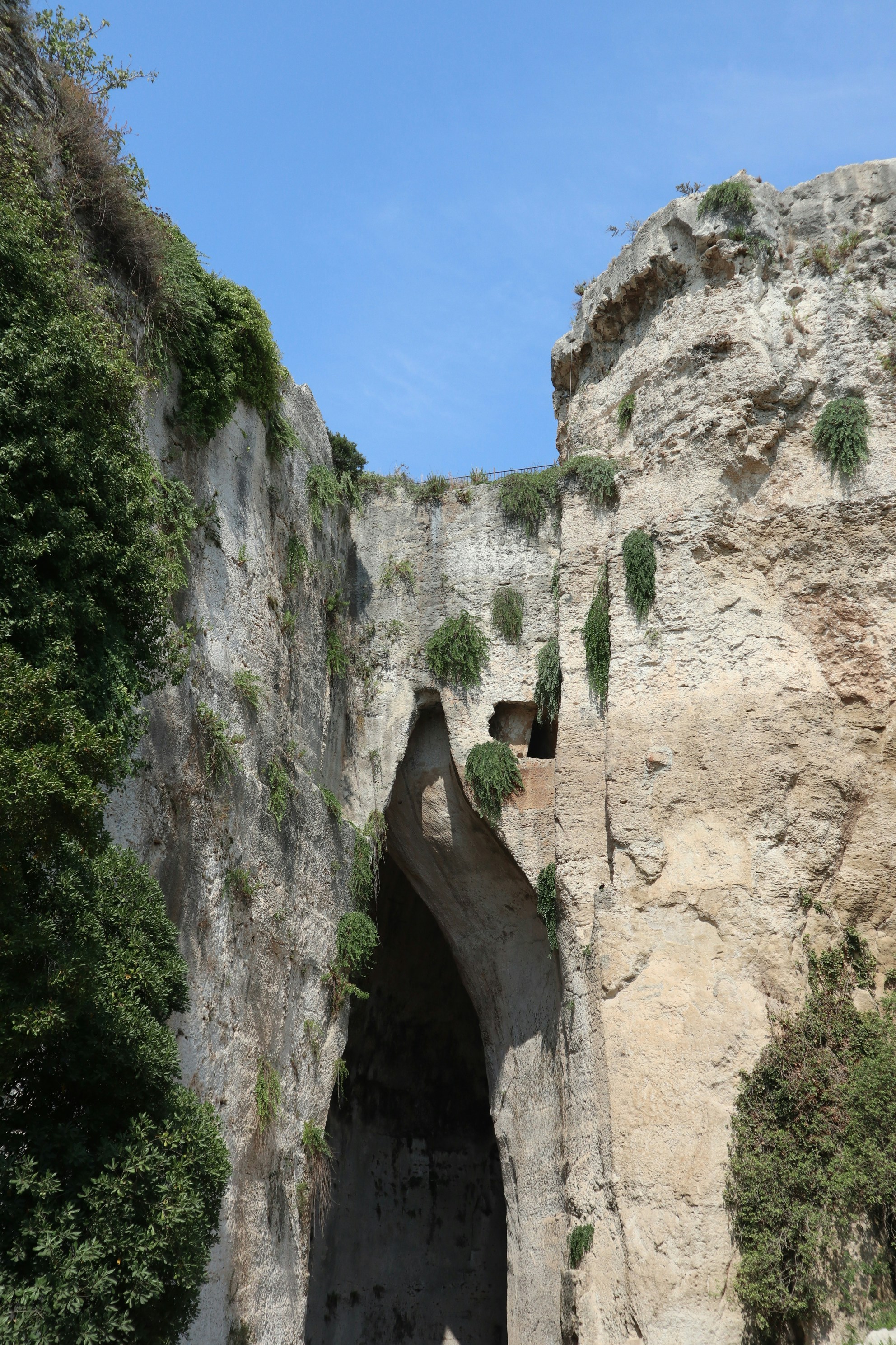 une grande formation rocheuse avec des arbres qui poussent