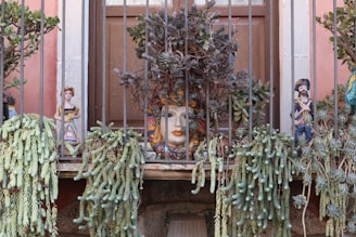 a bunch of plants that are on a window sill