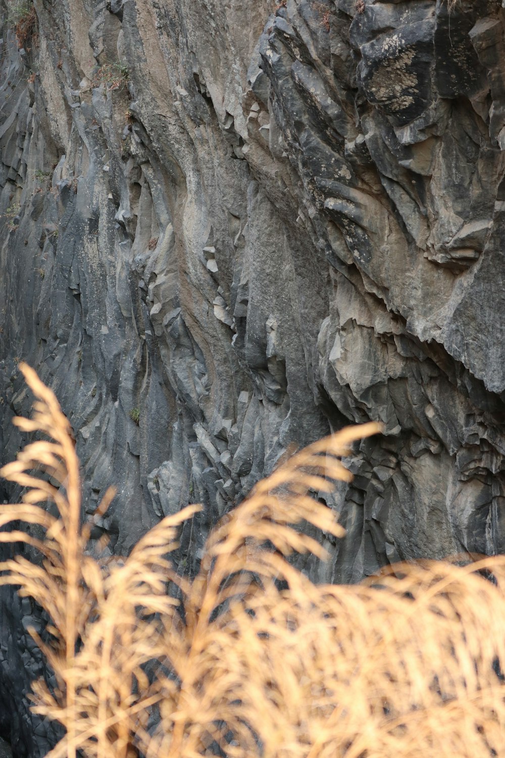 a bird is perched on a rock face