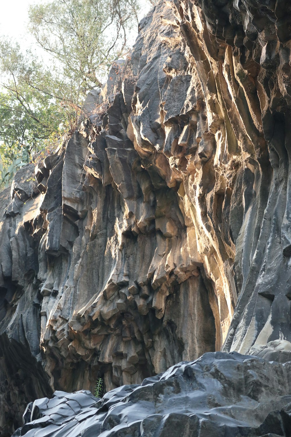 uma grande formação rochosa com árvores ao fundo