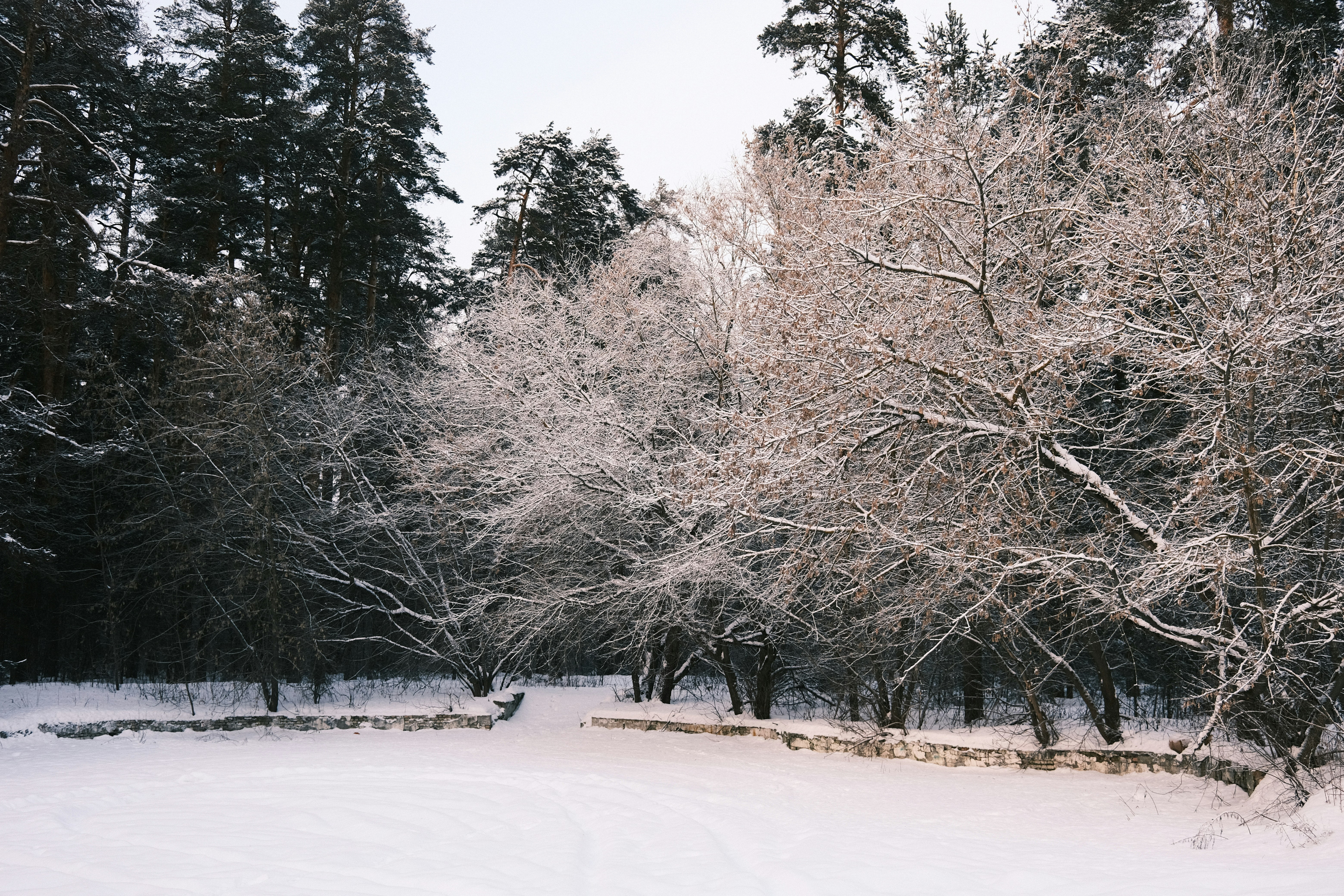 Photo by zapiatkina