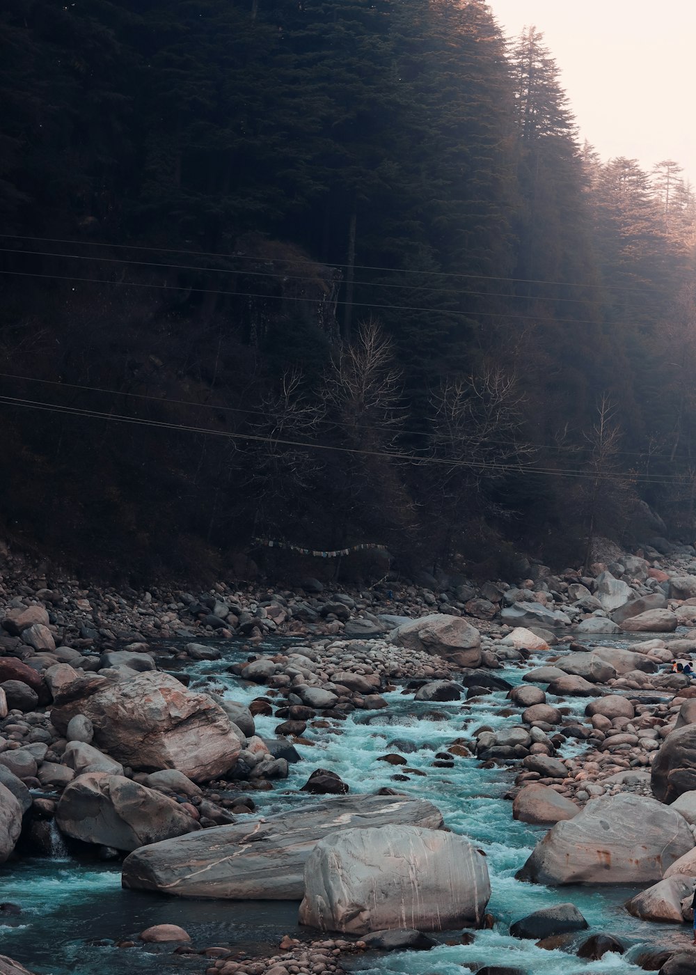 a man standing on a rock next to a river