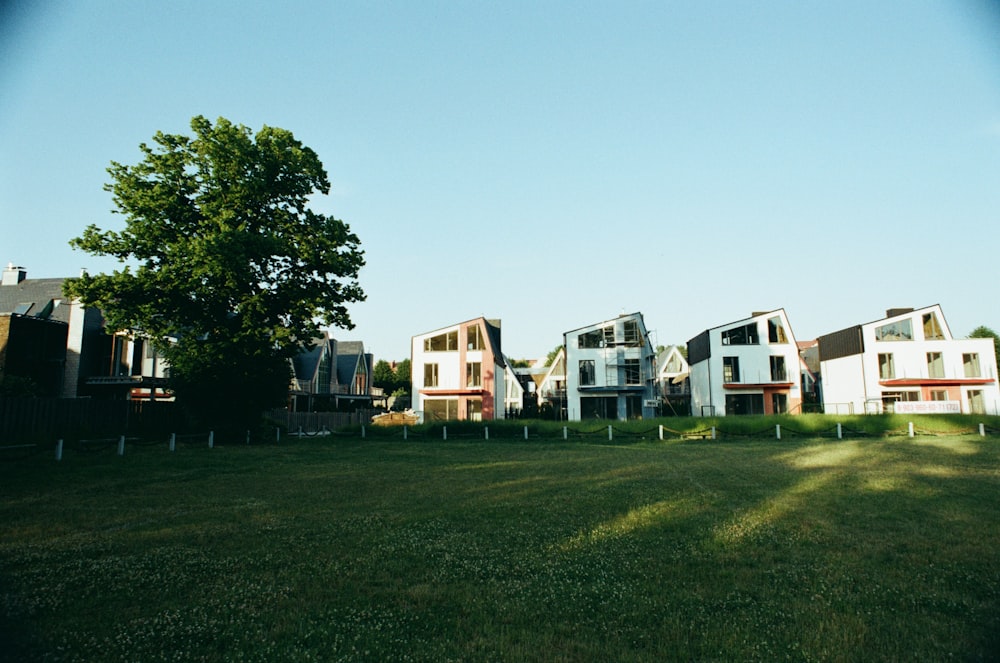 uma fileira de casas sentadas no topo de um campo verde exuberante