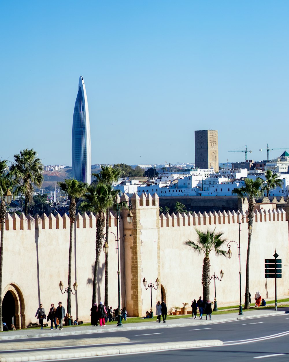 a city with palm trees and tall buildings