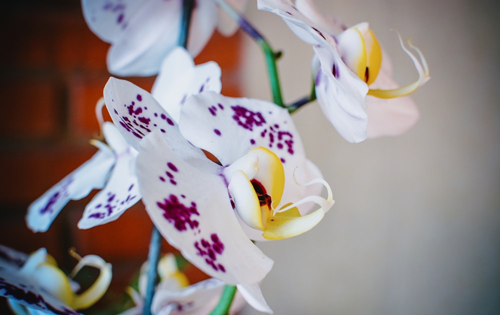 a bunch of flowers that are in a vase