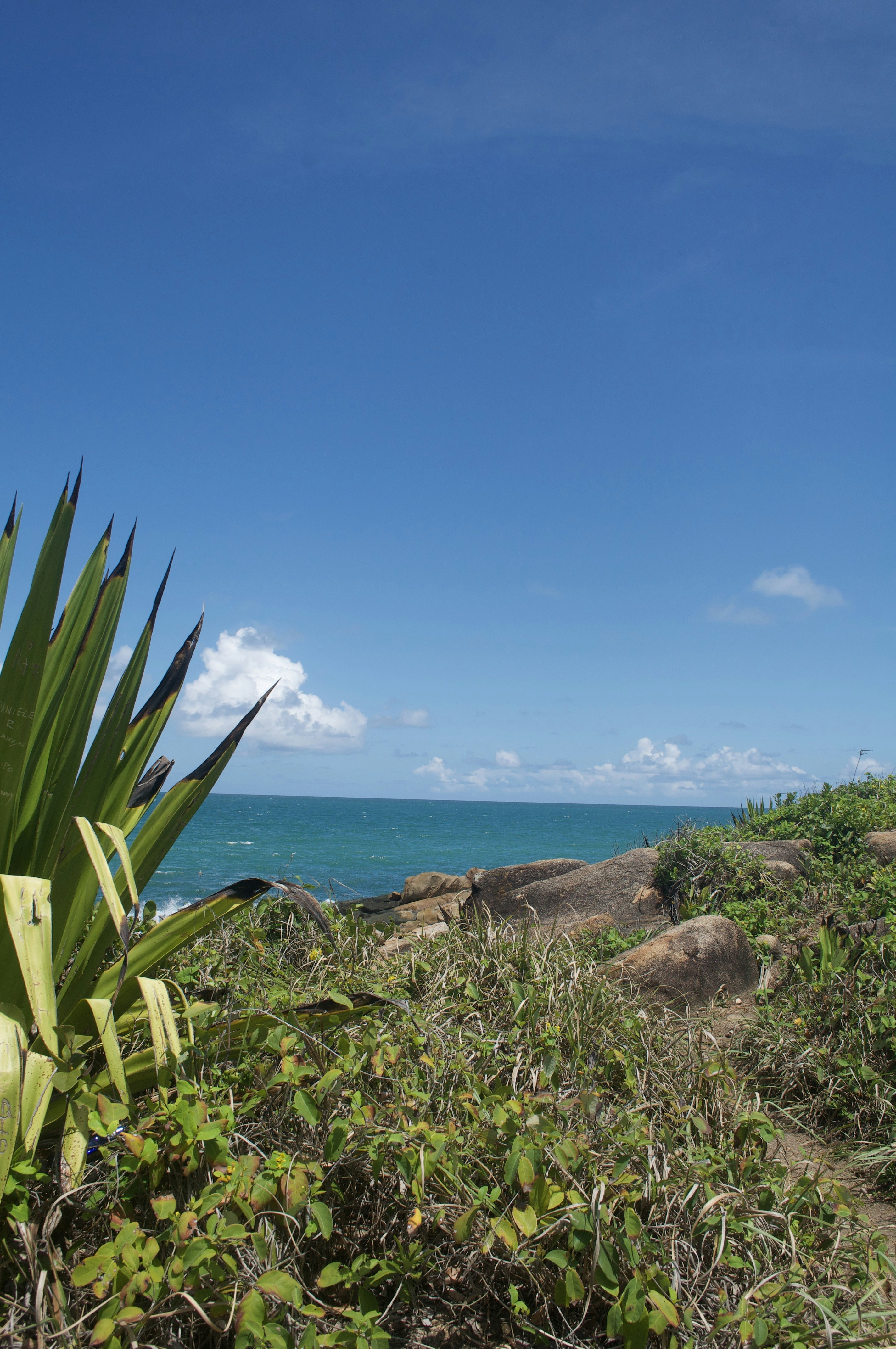 Photo by lucasbsallum