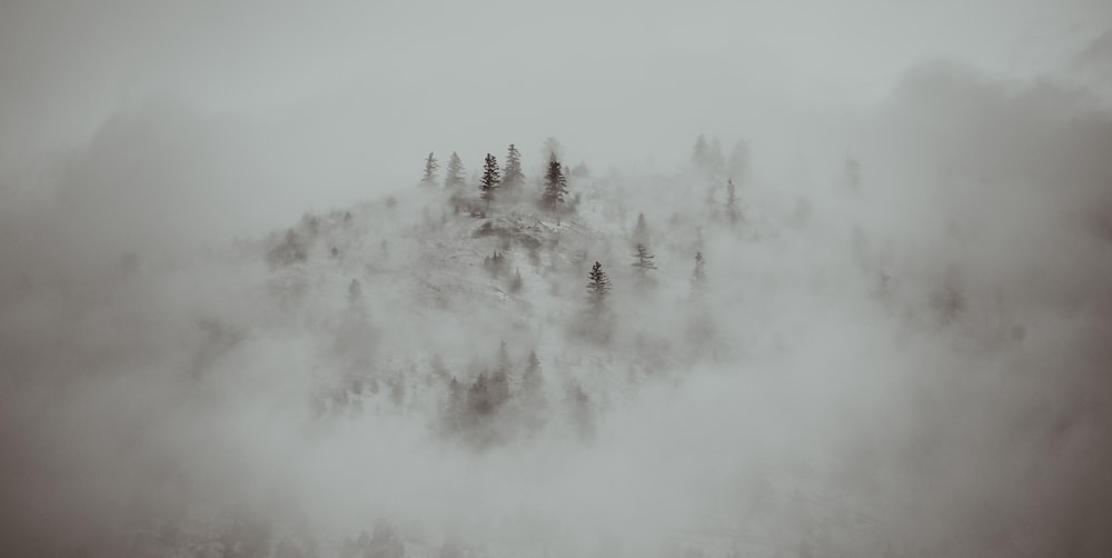 a black and white photo of a mountain covered in fog