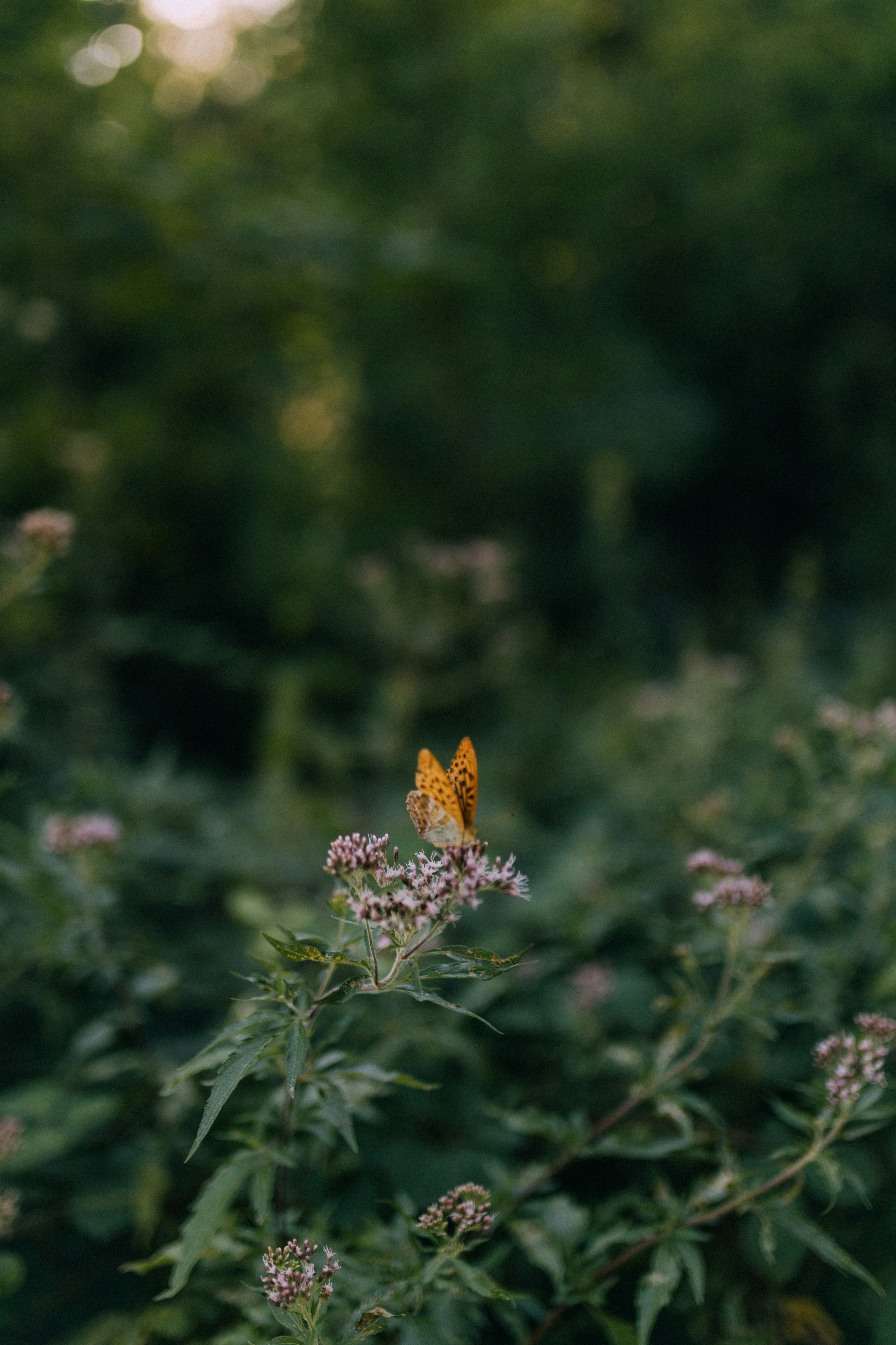 Photo by lenaadelmann