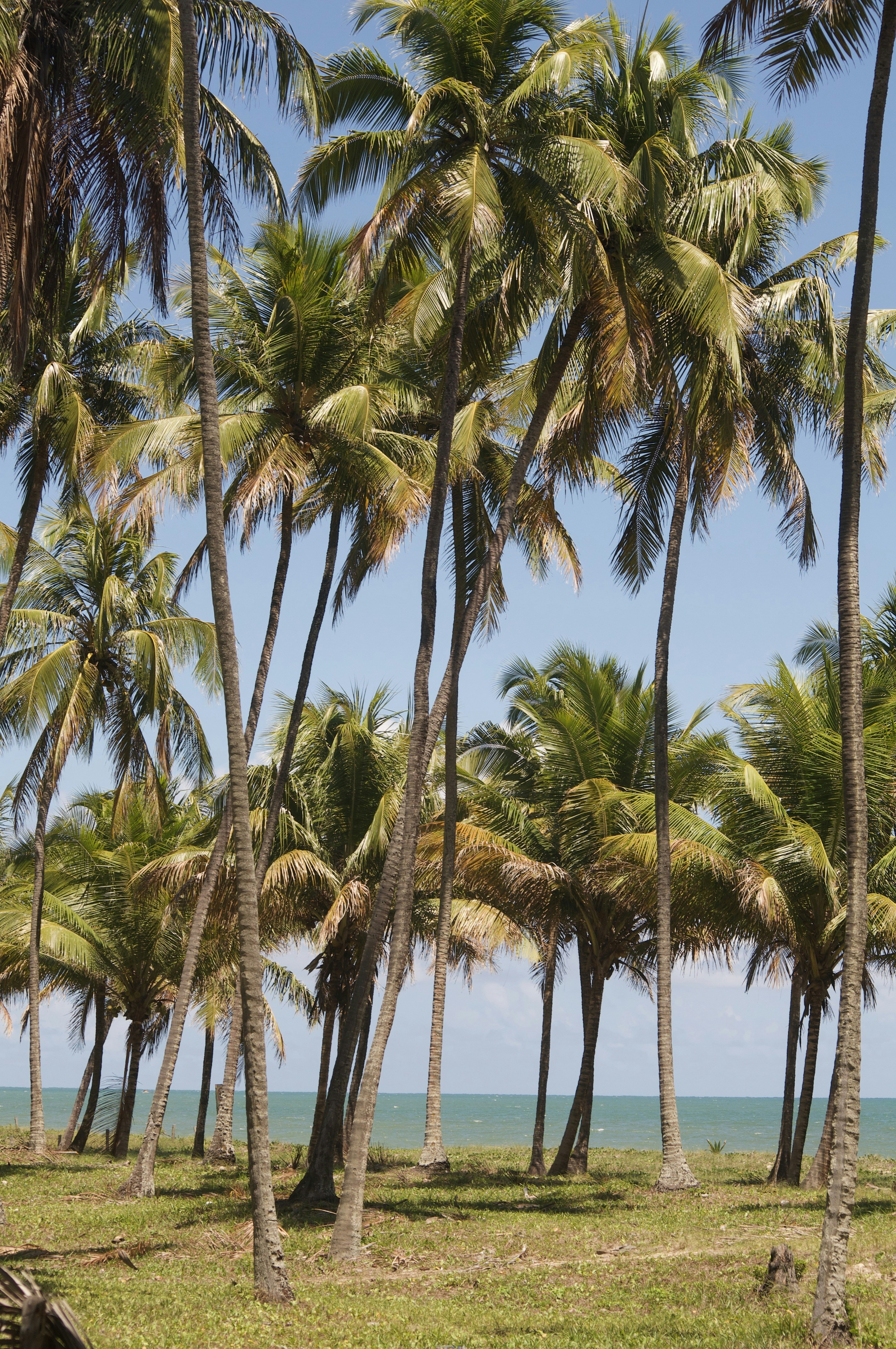 Photo by lucasbsallum