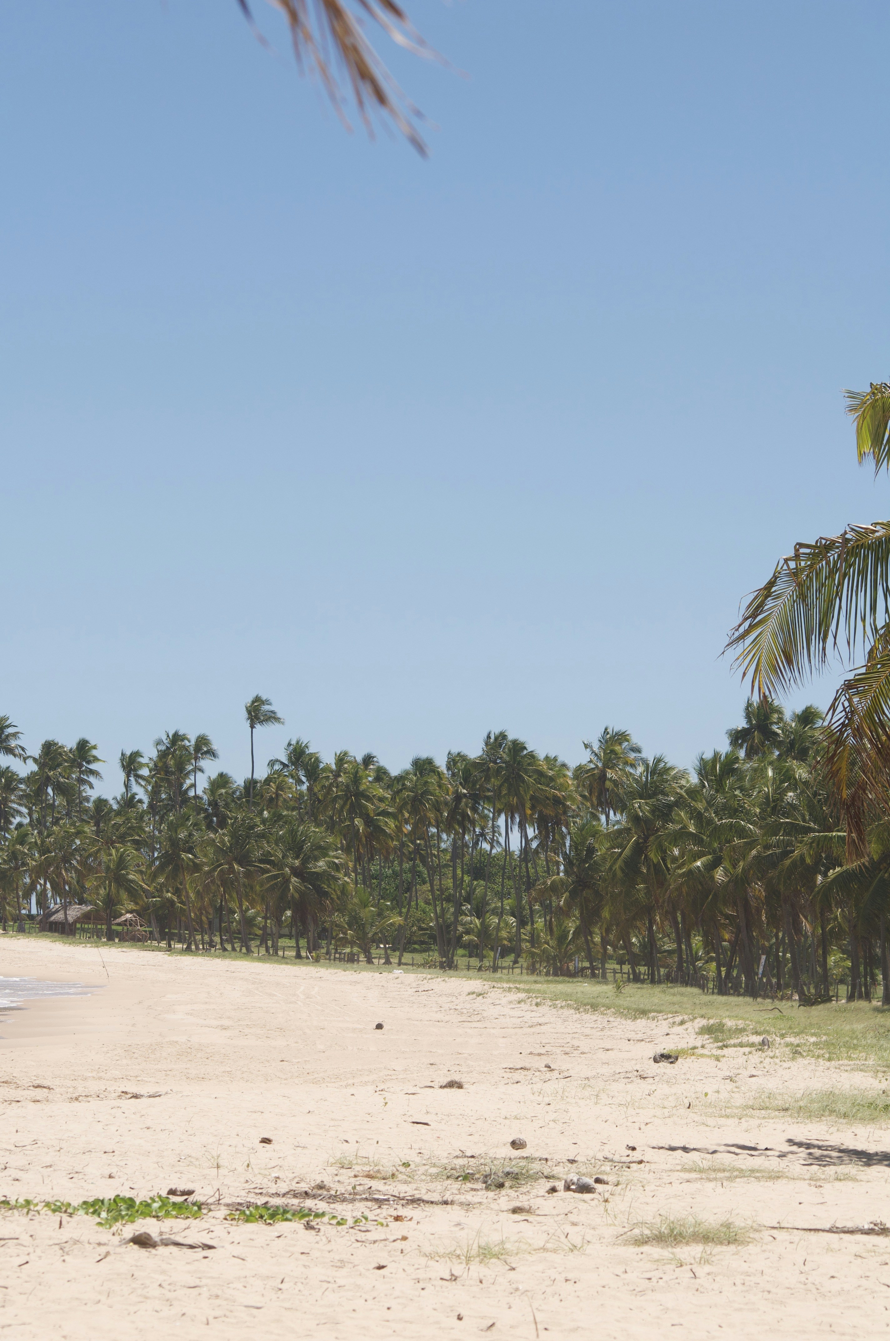 Photo by lucasbsallum