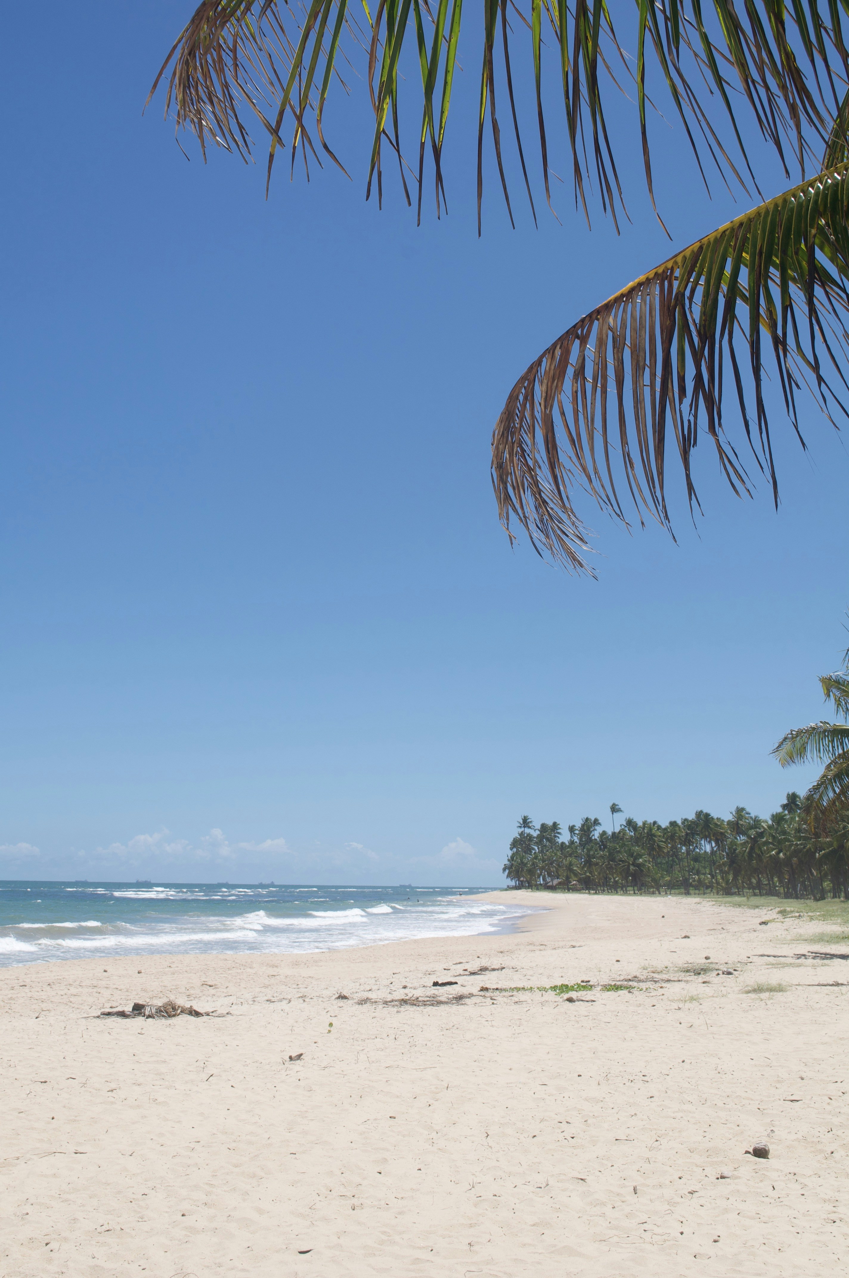 Photo by lucasbsallum