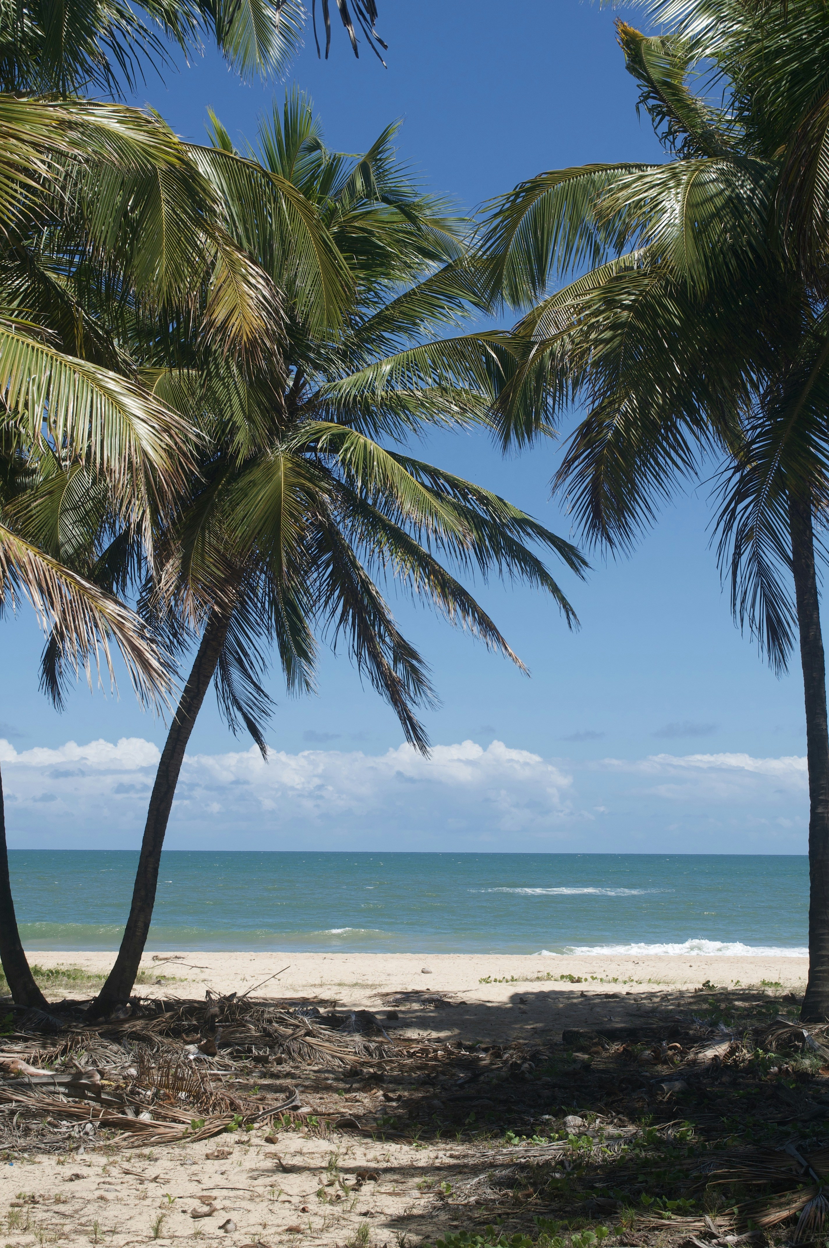 Photo by lucasbsallum