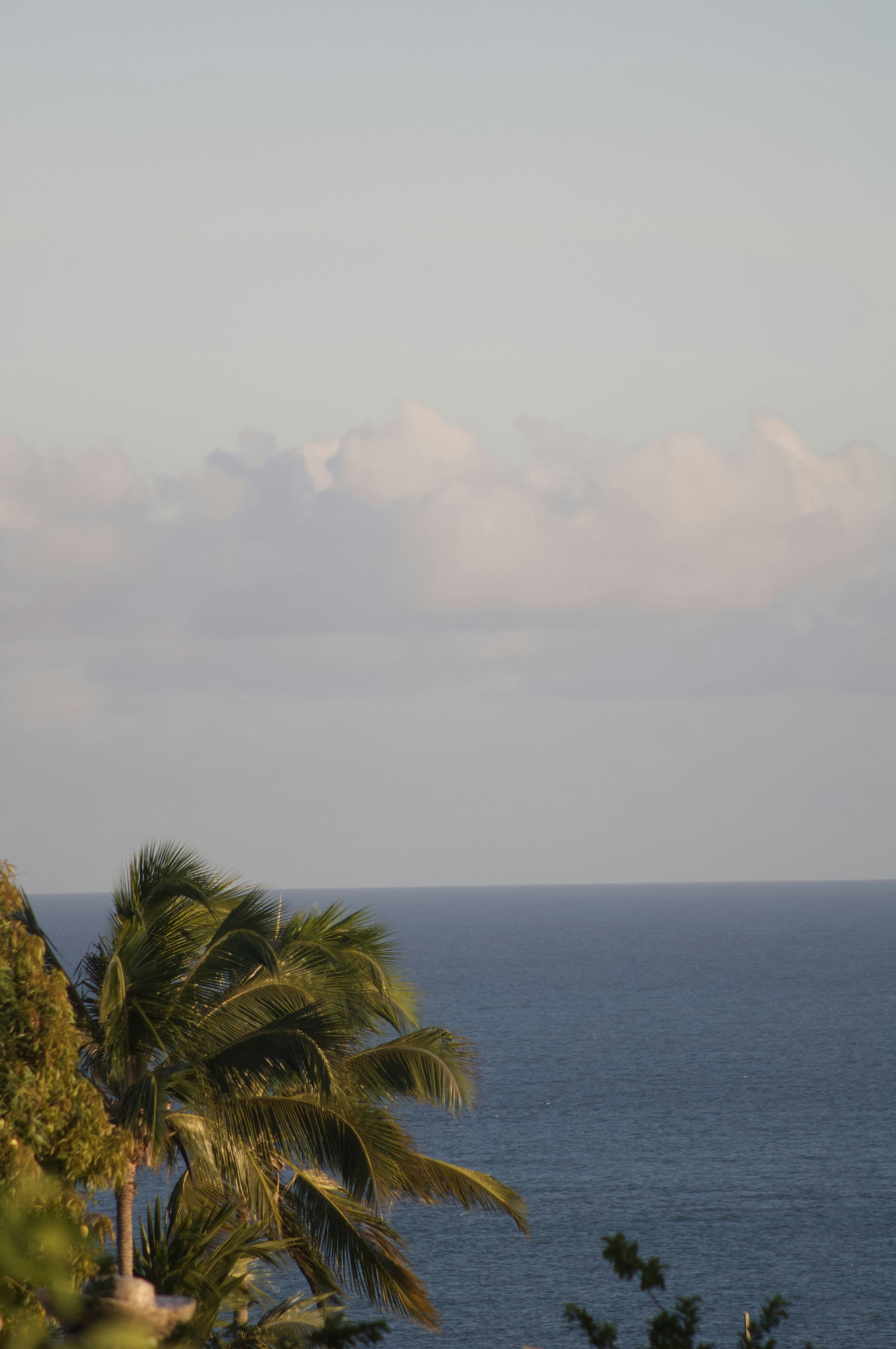 Photo by lucasbsallum