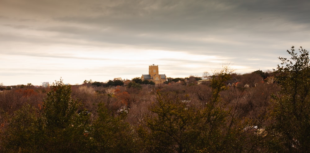 uma vista de uma torre ao longe com árvores em primeiro plano