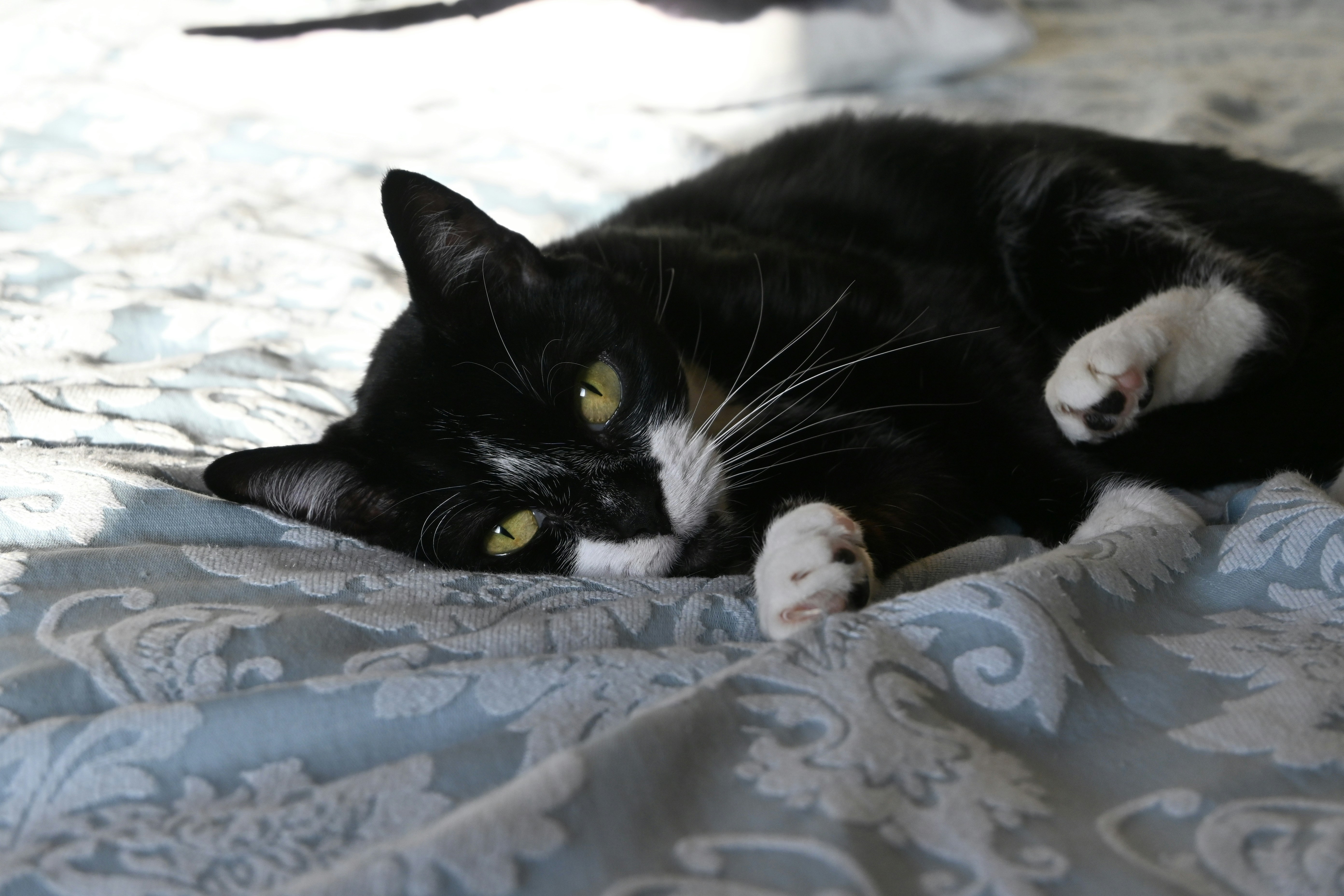 Photo by jodiemcgonagle