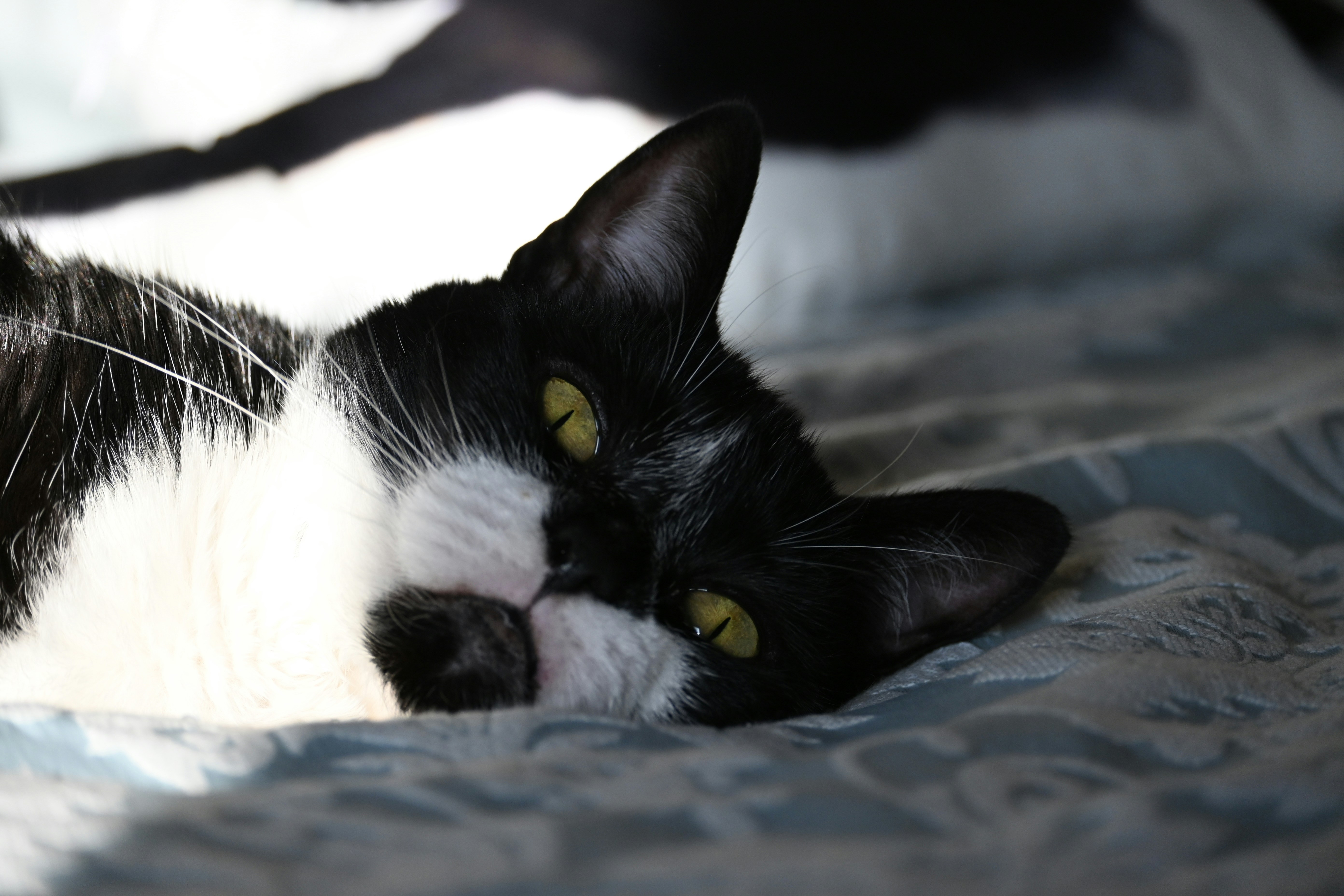 Photo by jodiemcgonagle