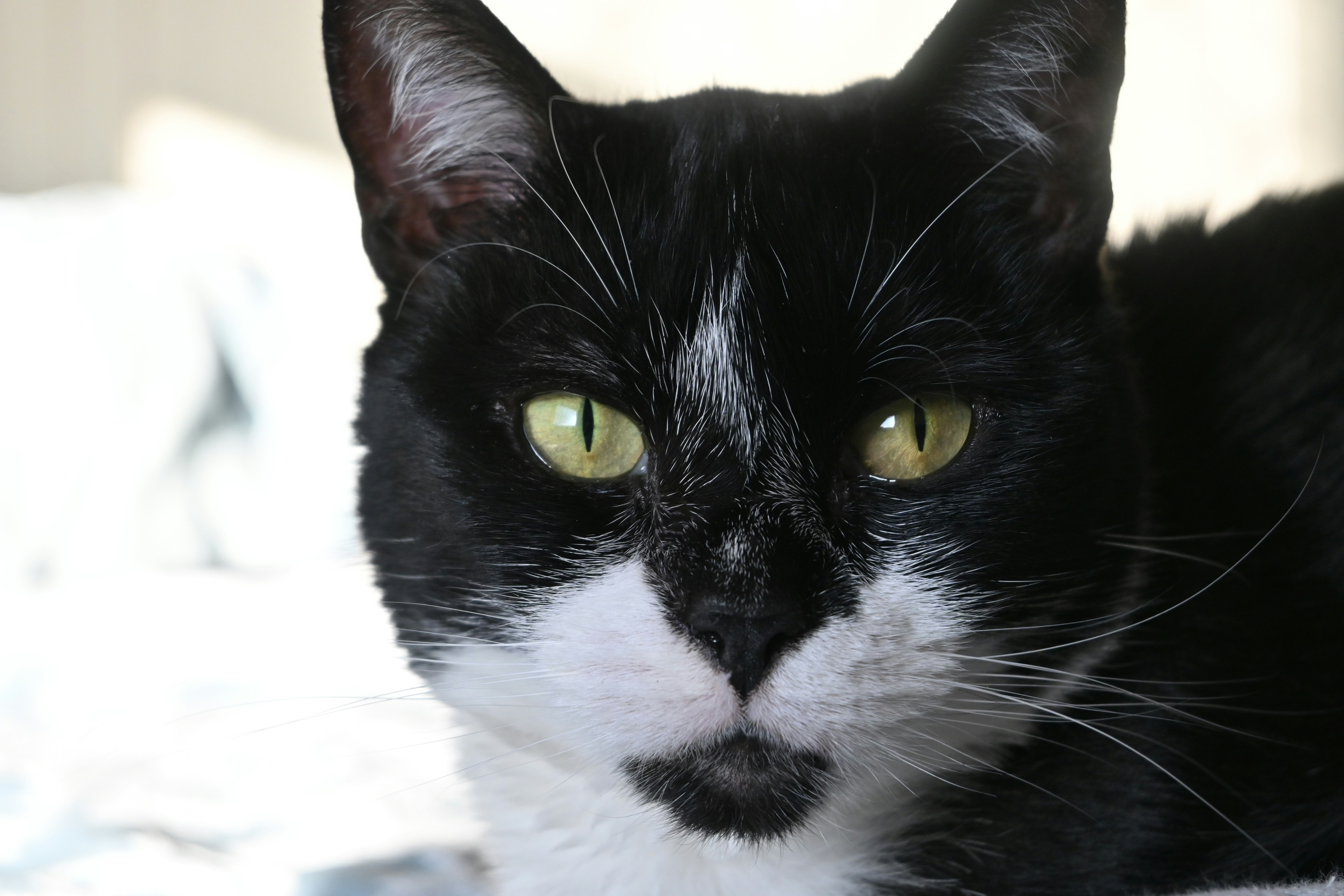 Photo by jodiemcgonagle