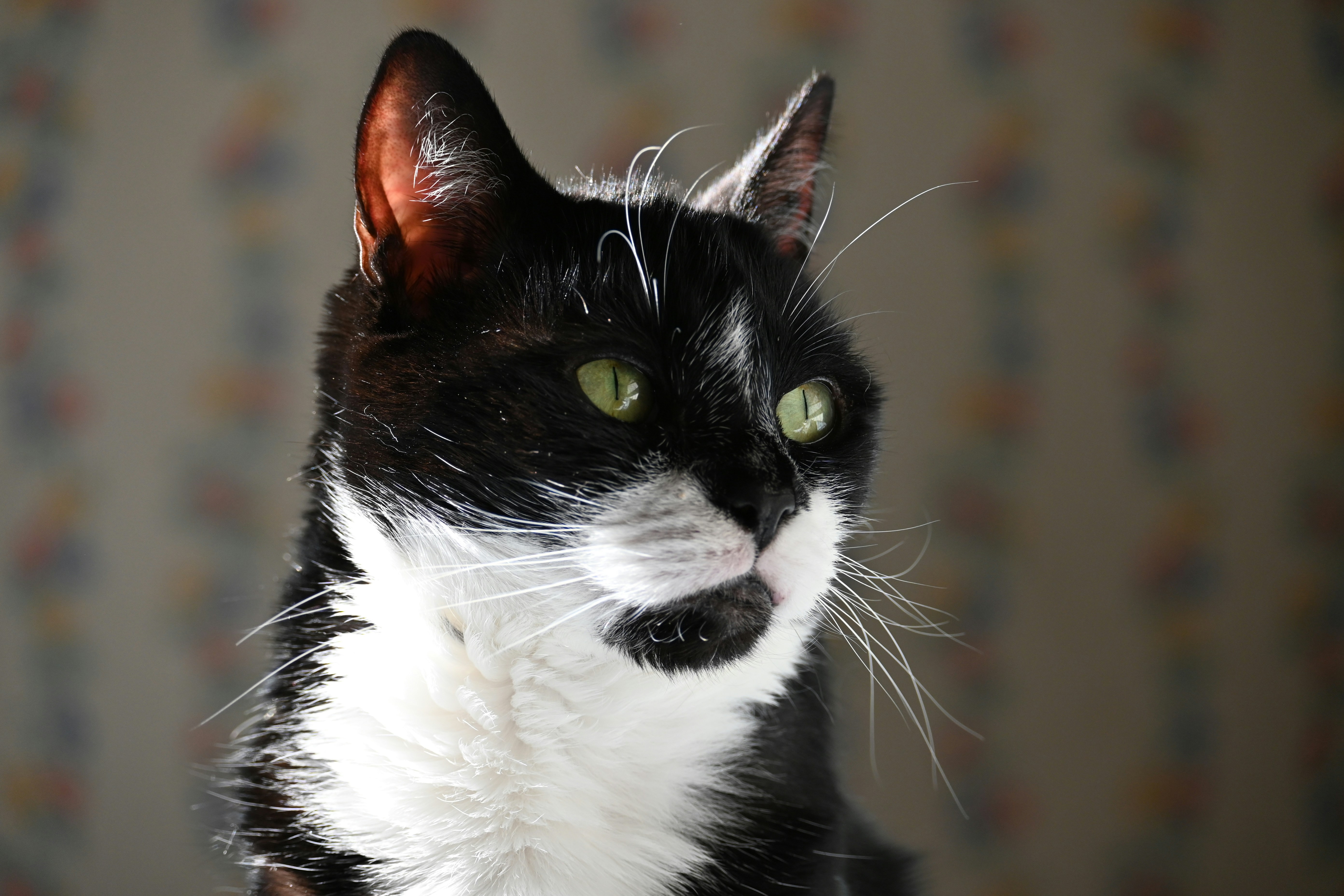 Photo by jodiemcgonagle