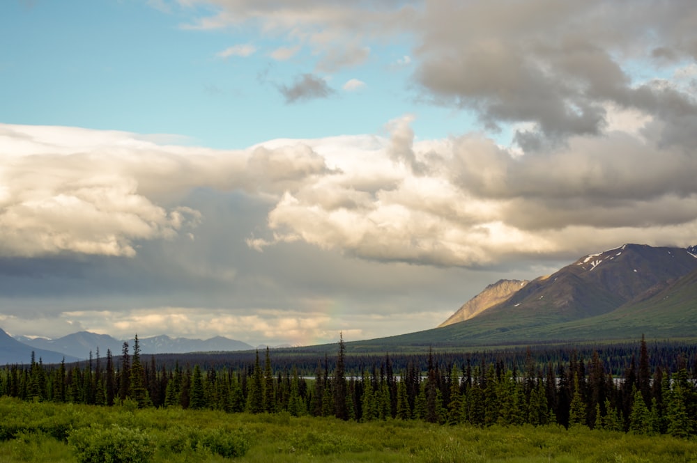 a field with trees and mountains in the background