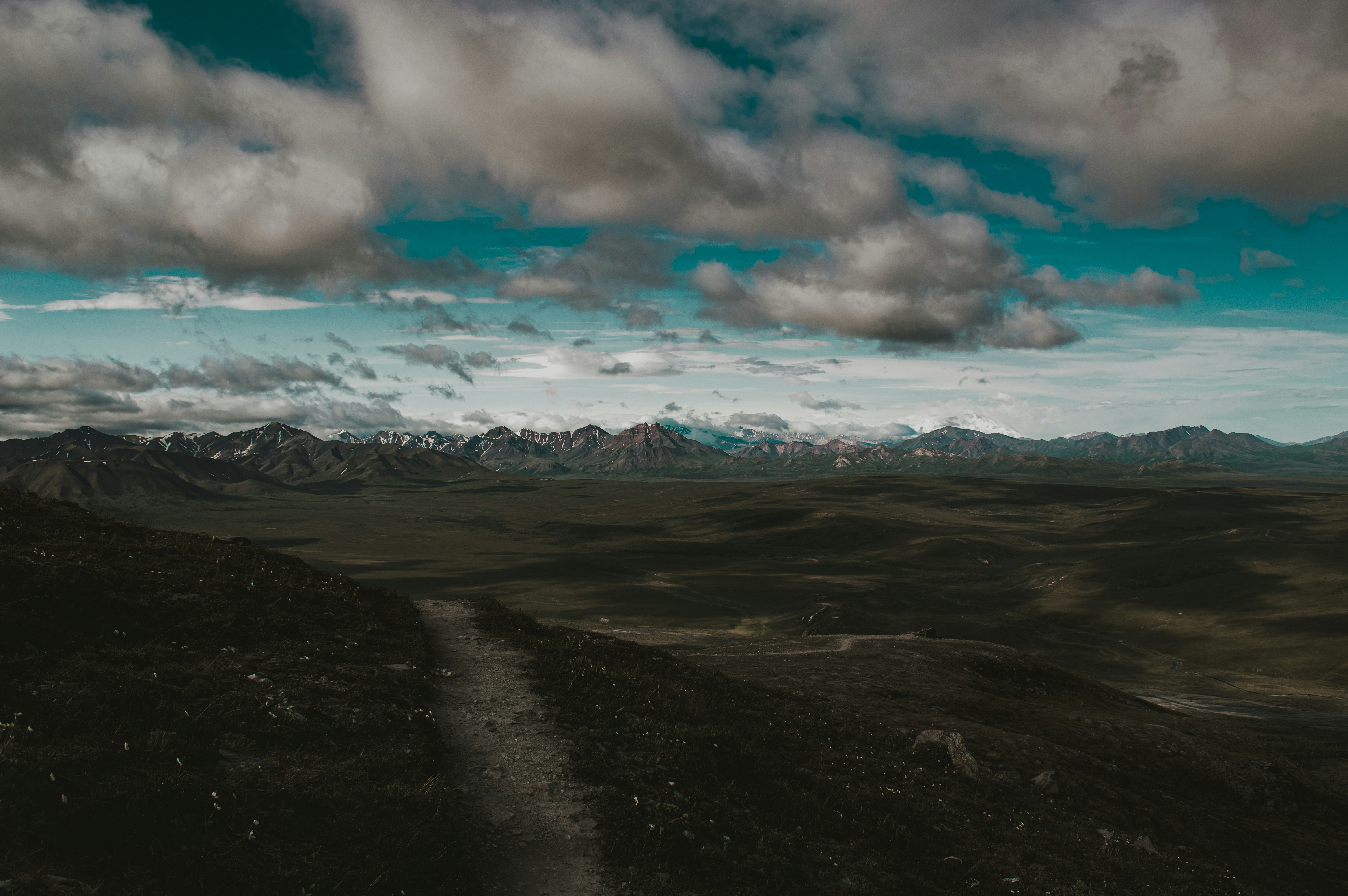 Photo by wayracreative